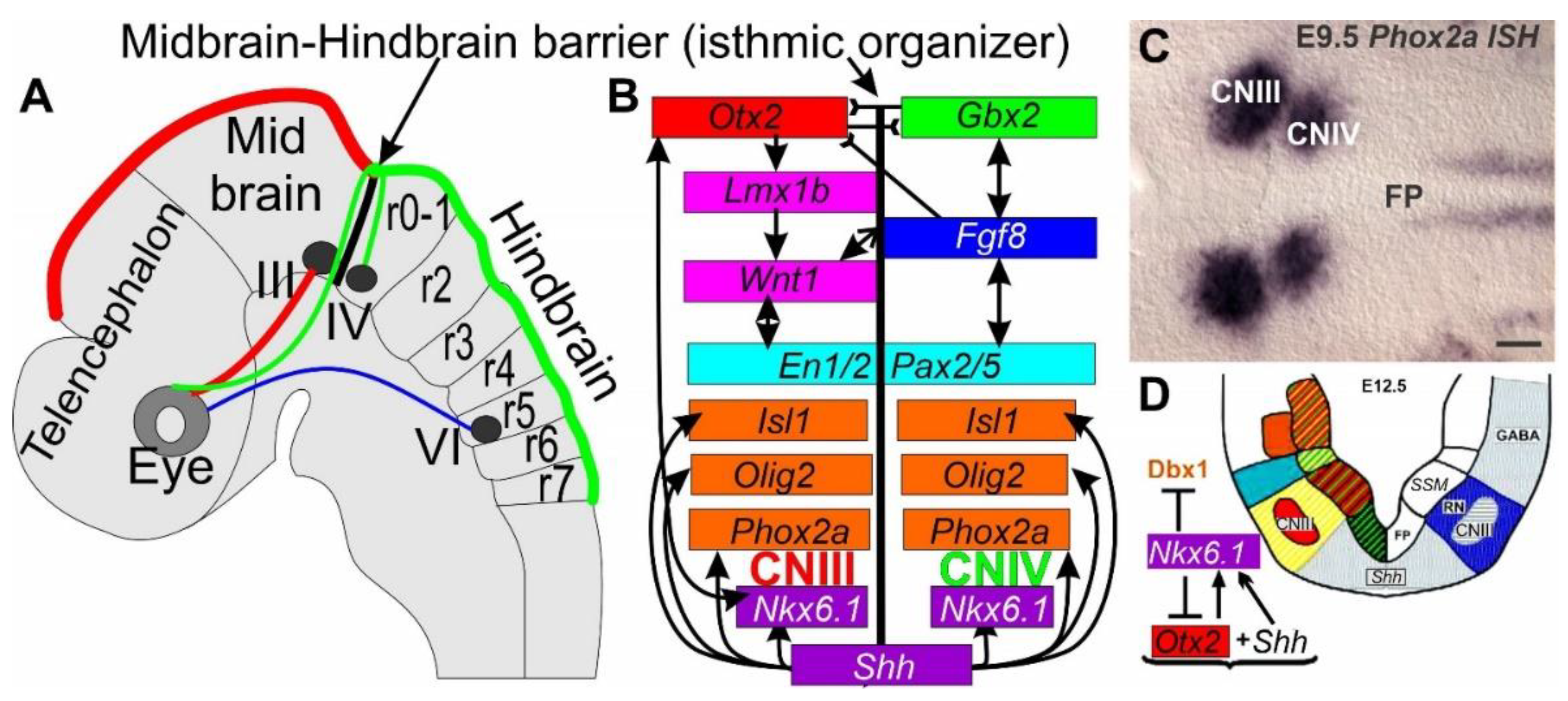Preprints 75722 g004