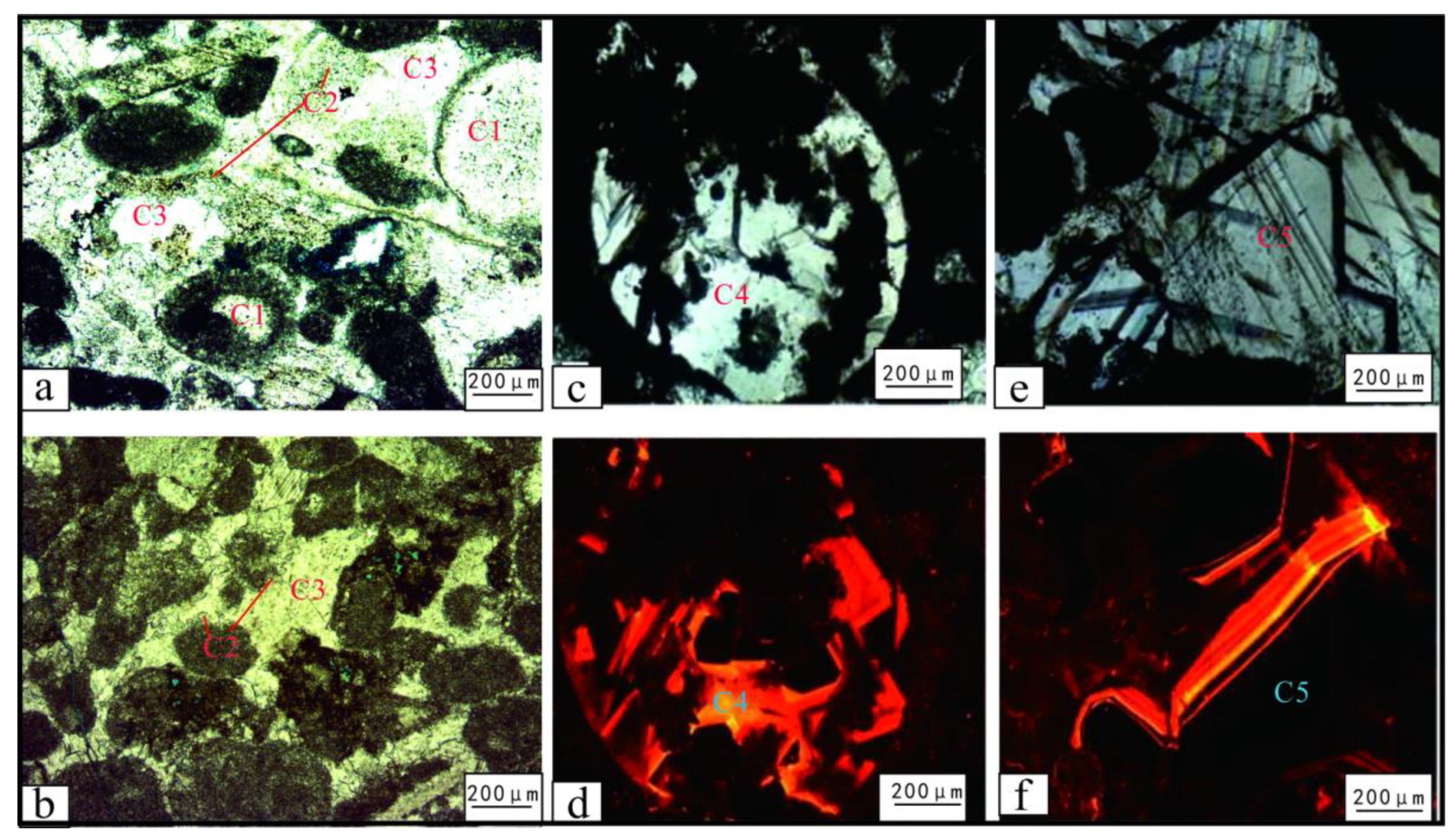 Preprints 177419 g014