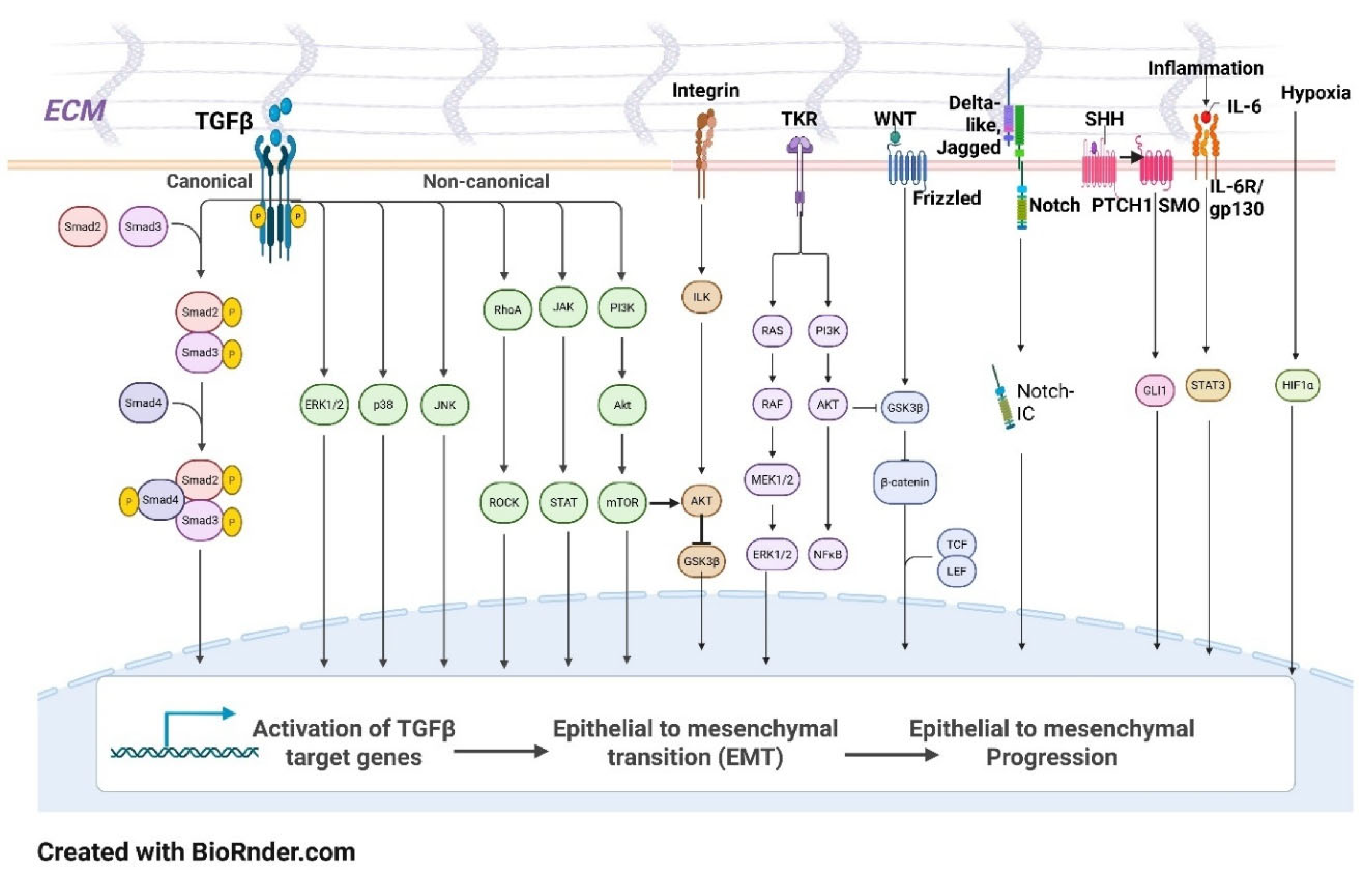 Preprints 210584 g002