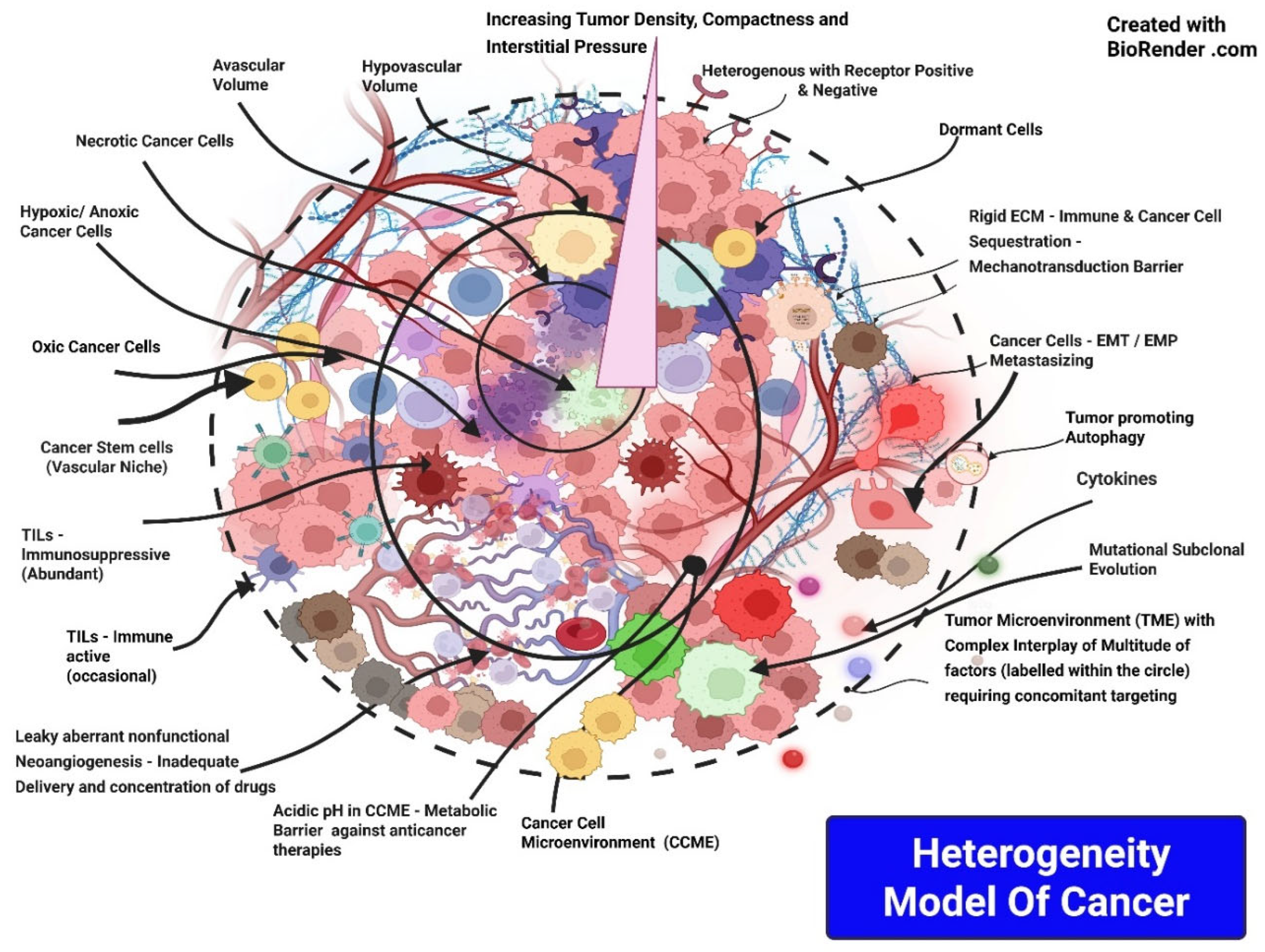 Preprints 210584 g005