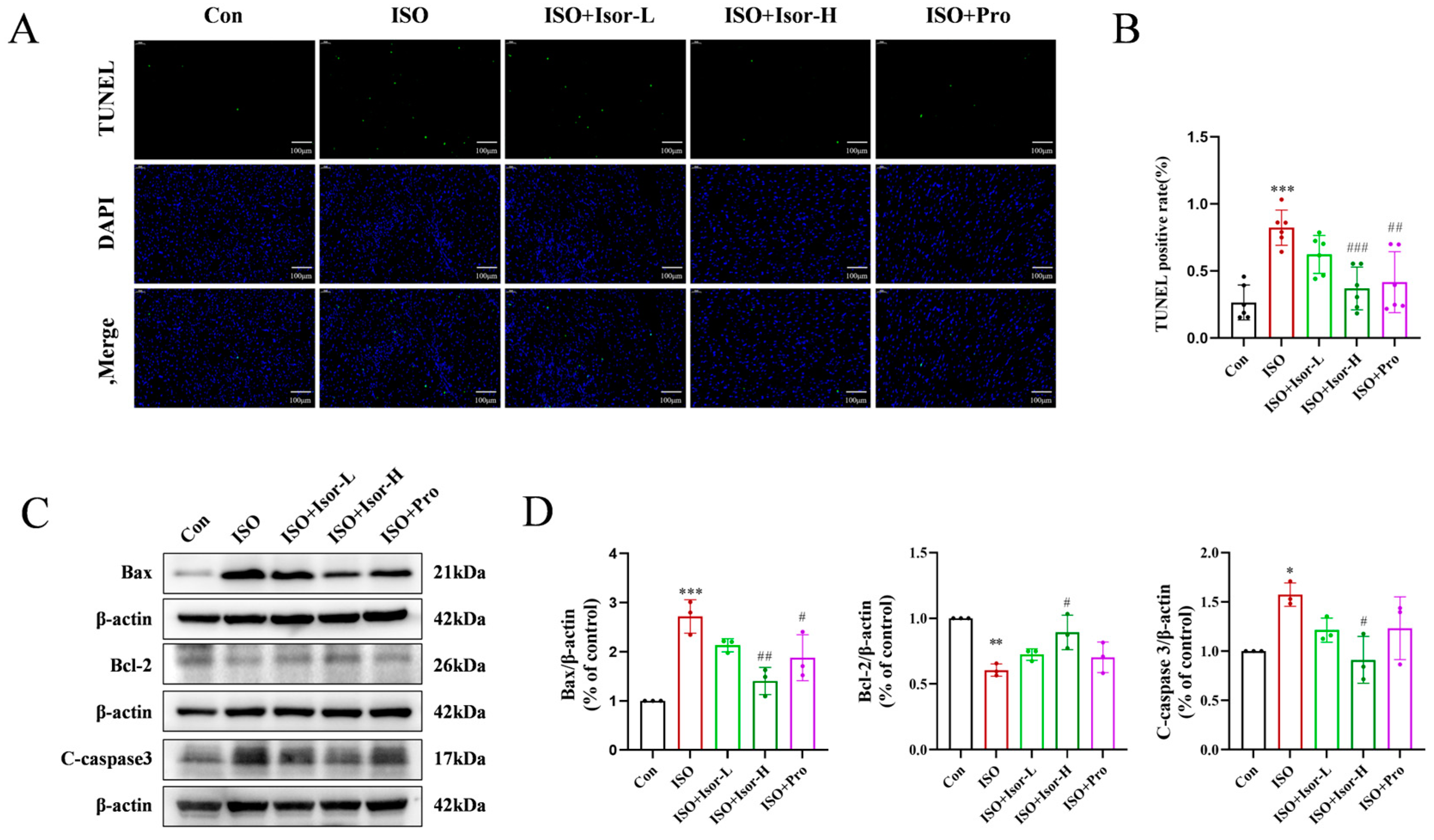 Preprints 155456 g002