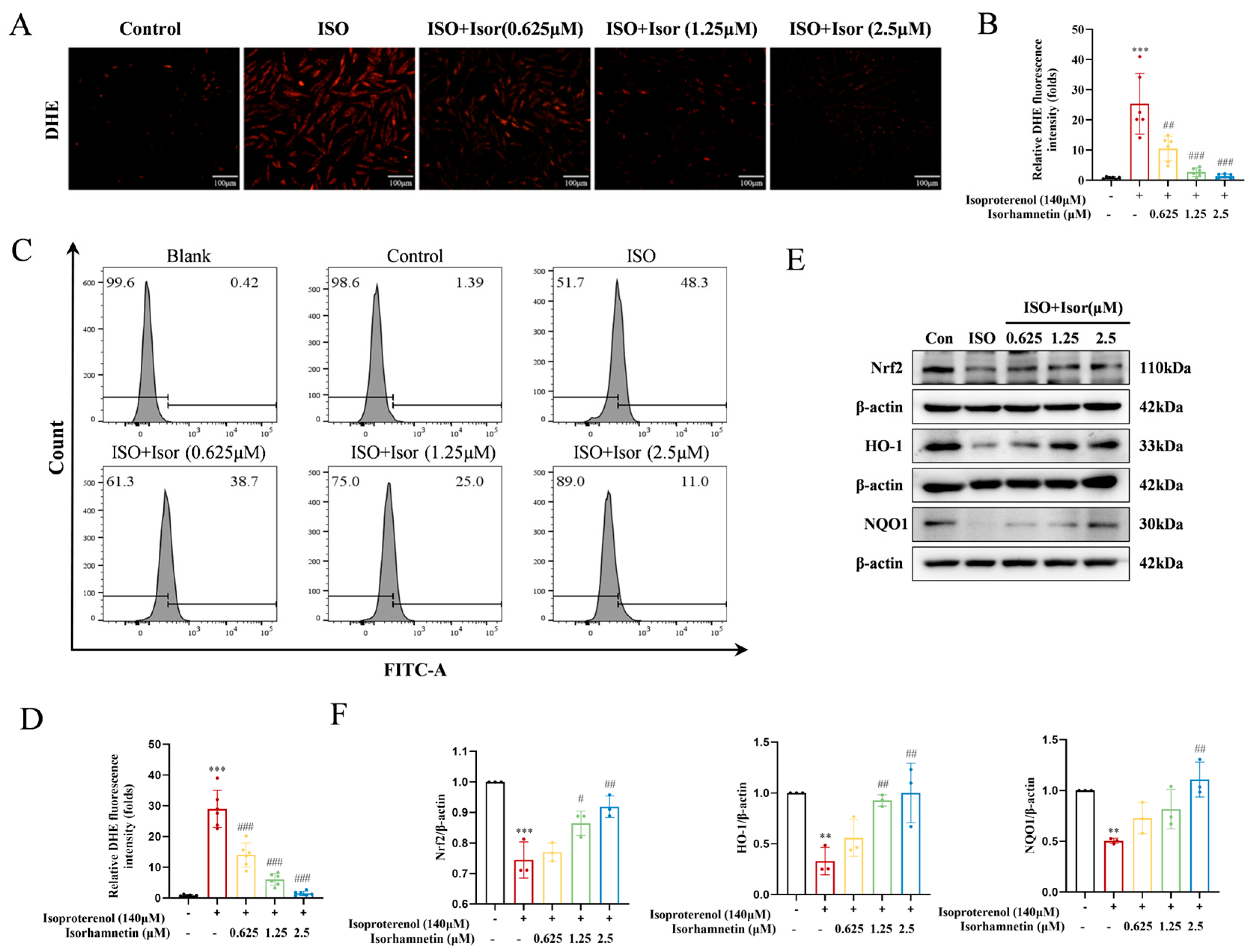 Preprints 155456 g005