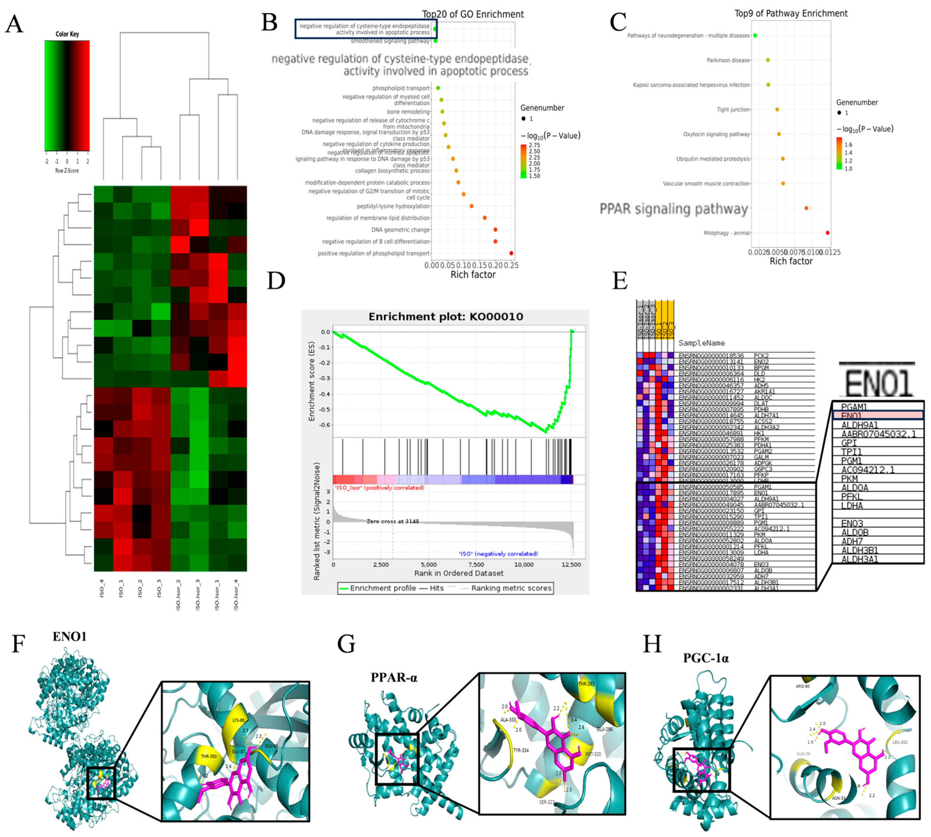 Preprints 155456 g006