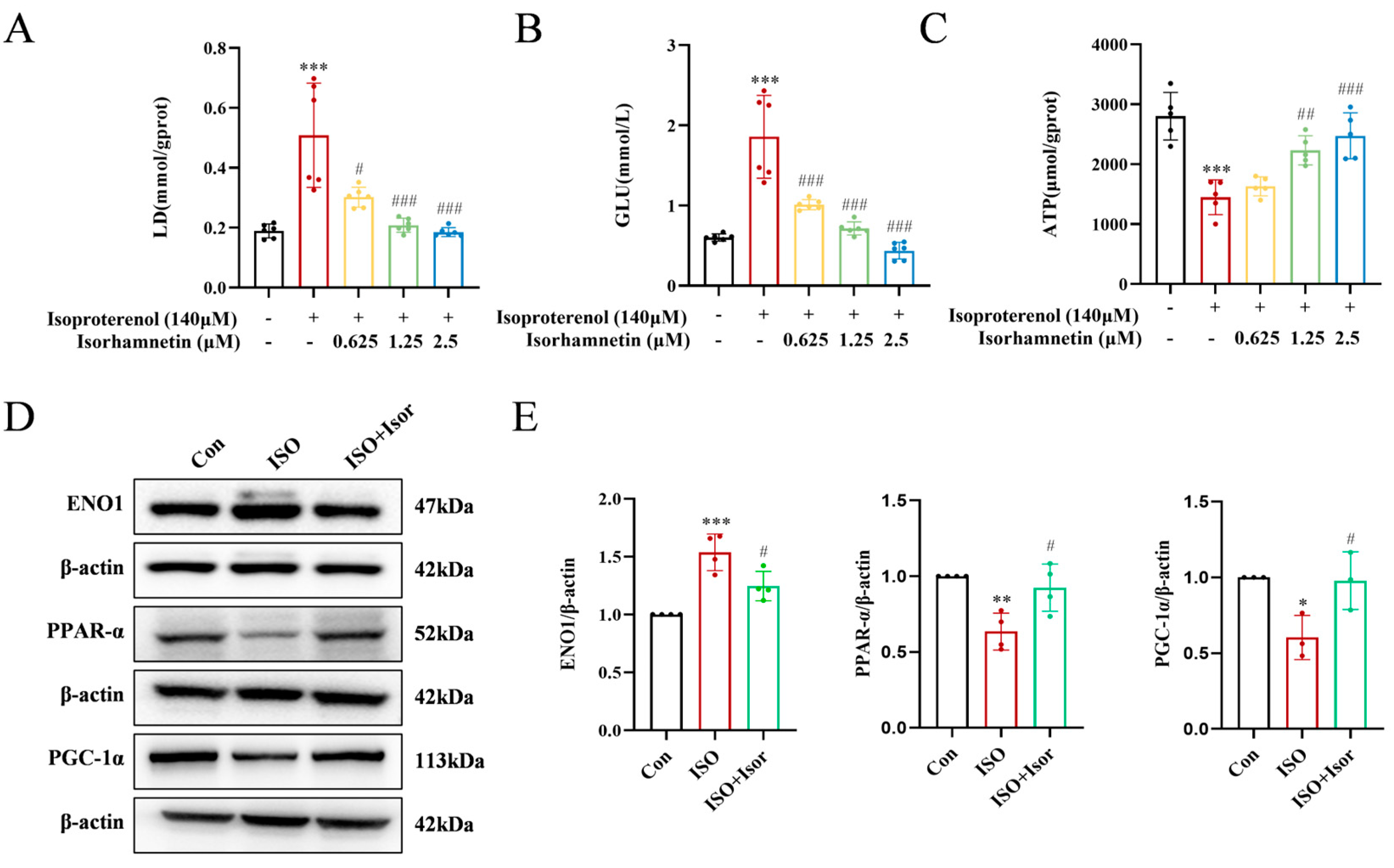 Preprints 155456 g007