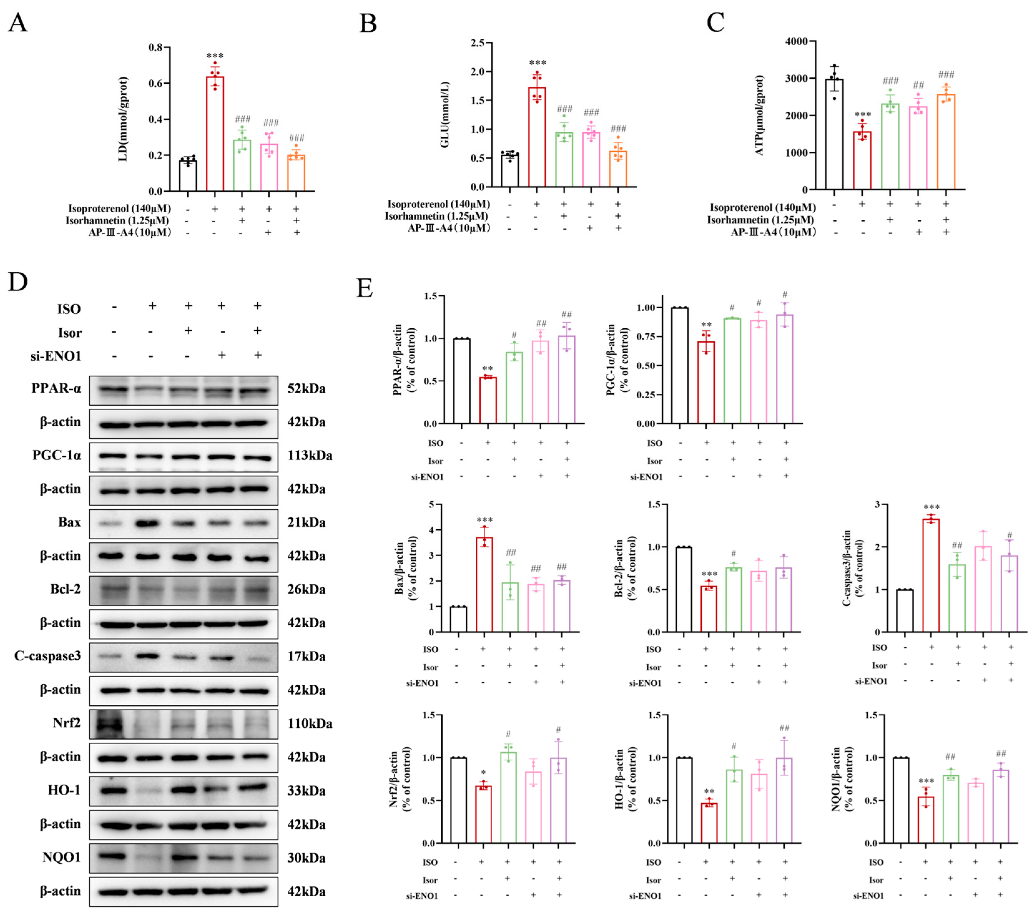 Preprints 155456 g008