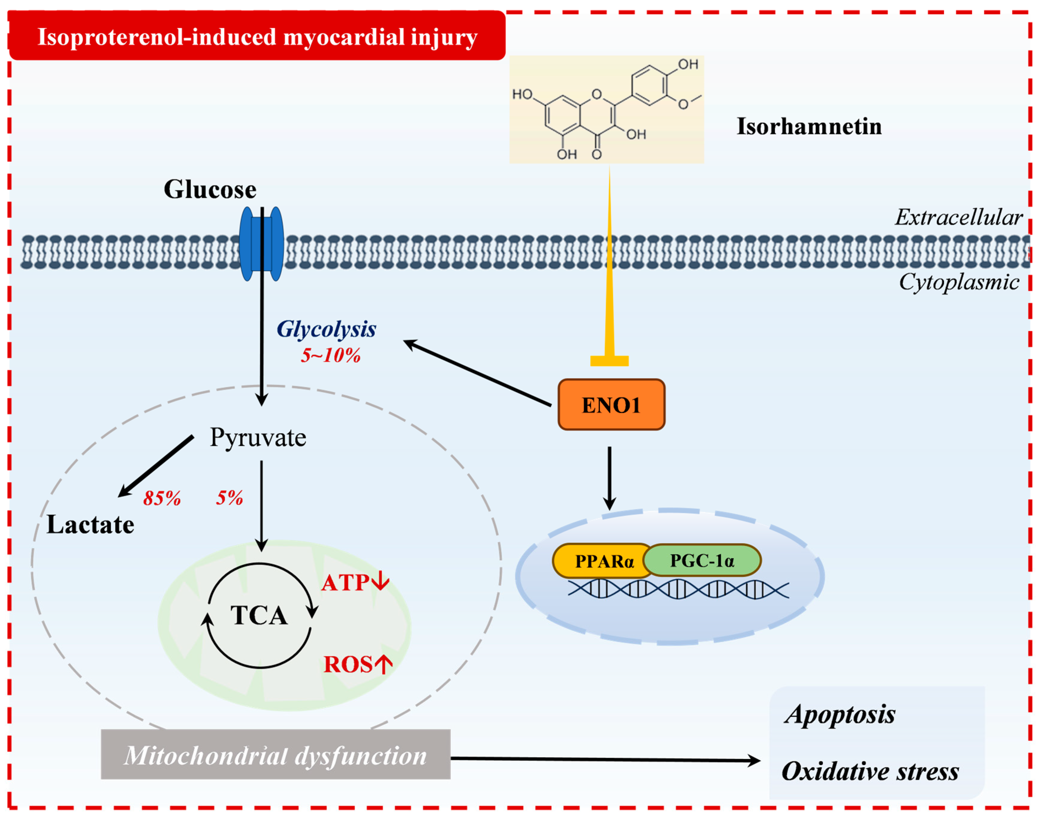Preprints 155456 g009