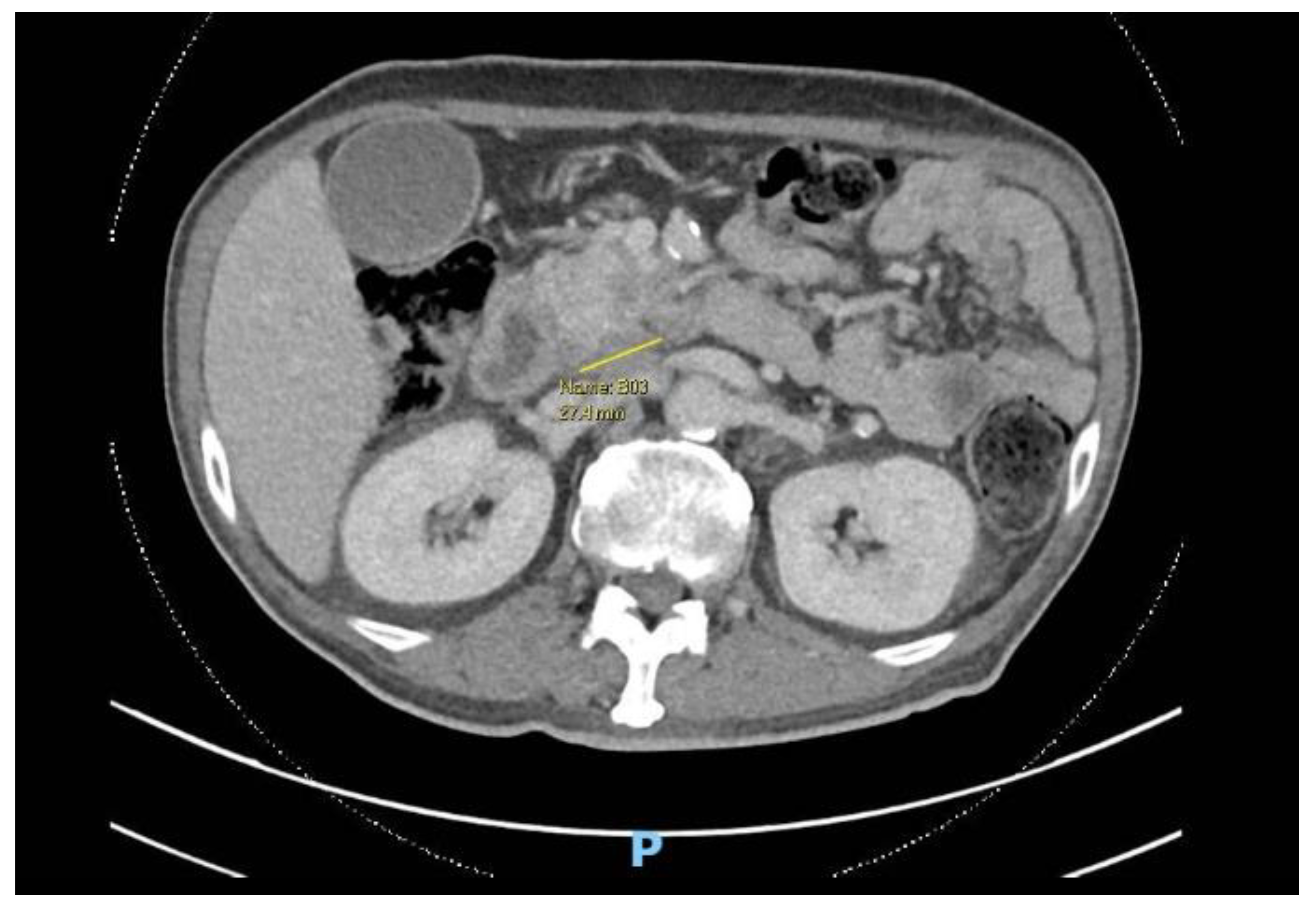Preprints 147084 g001