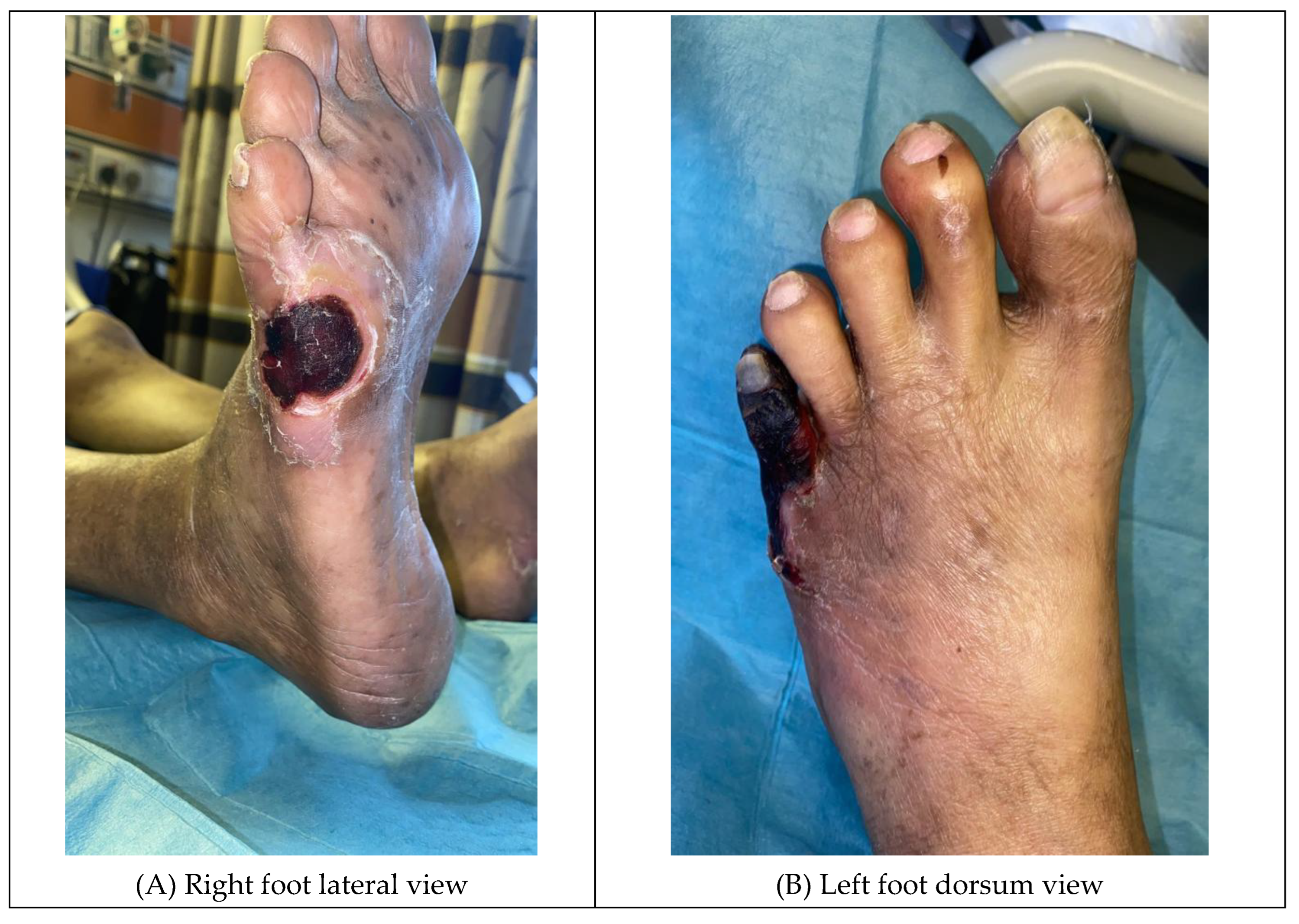 Preprints 147084 g002