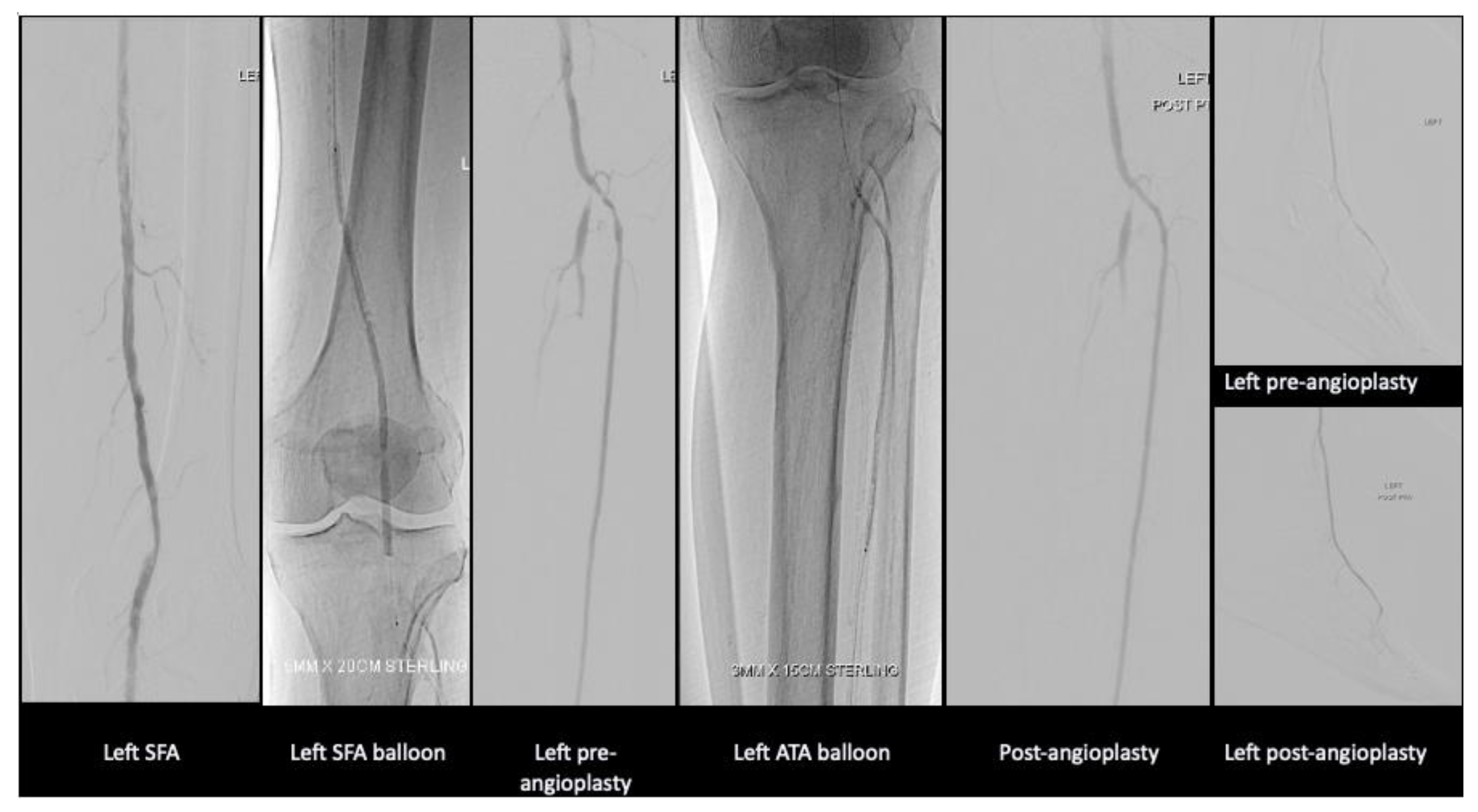 Preprints 147084 g003