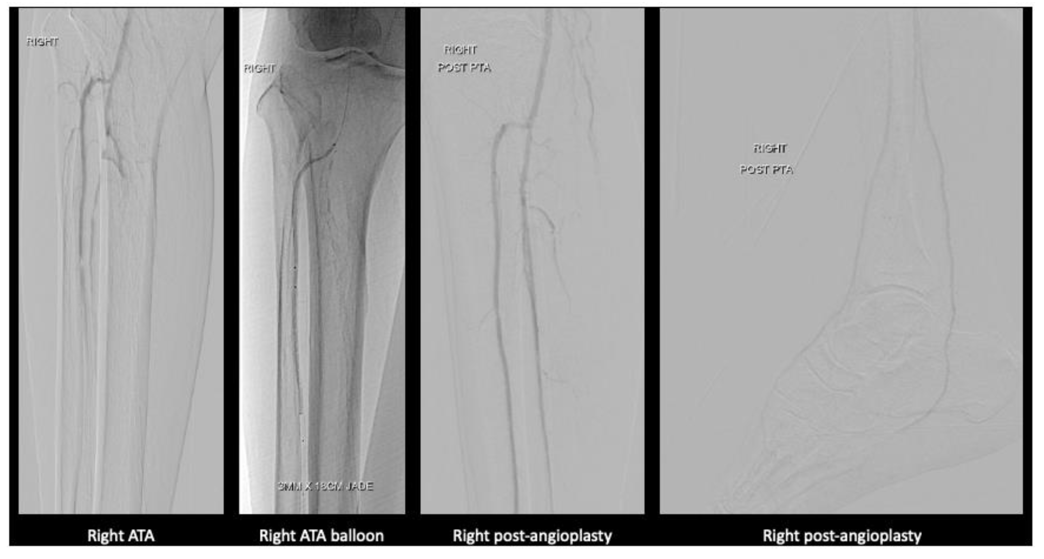 Preprints 147084 g004