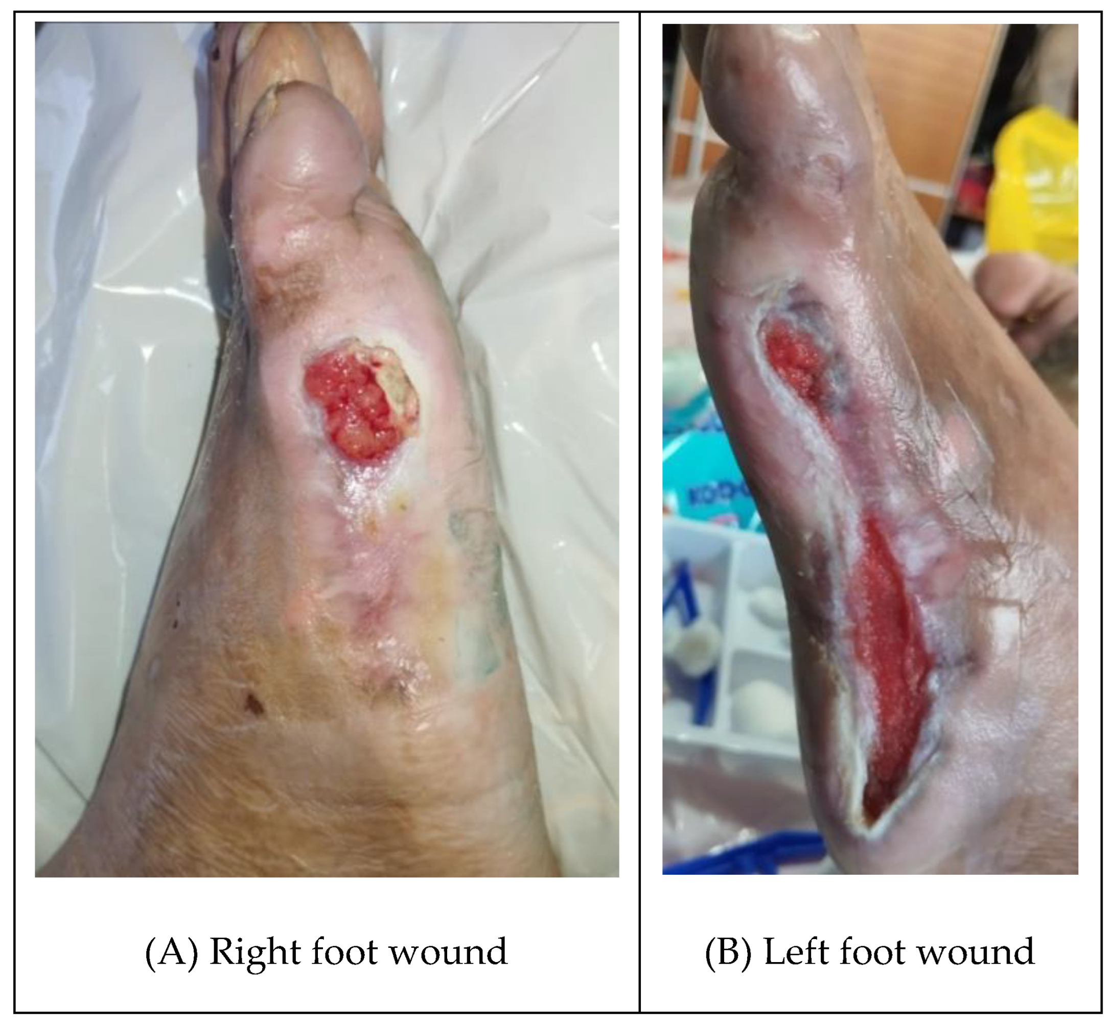 Preprints 147084 g005