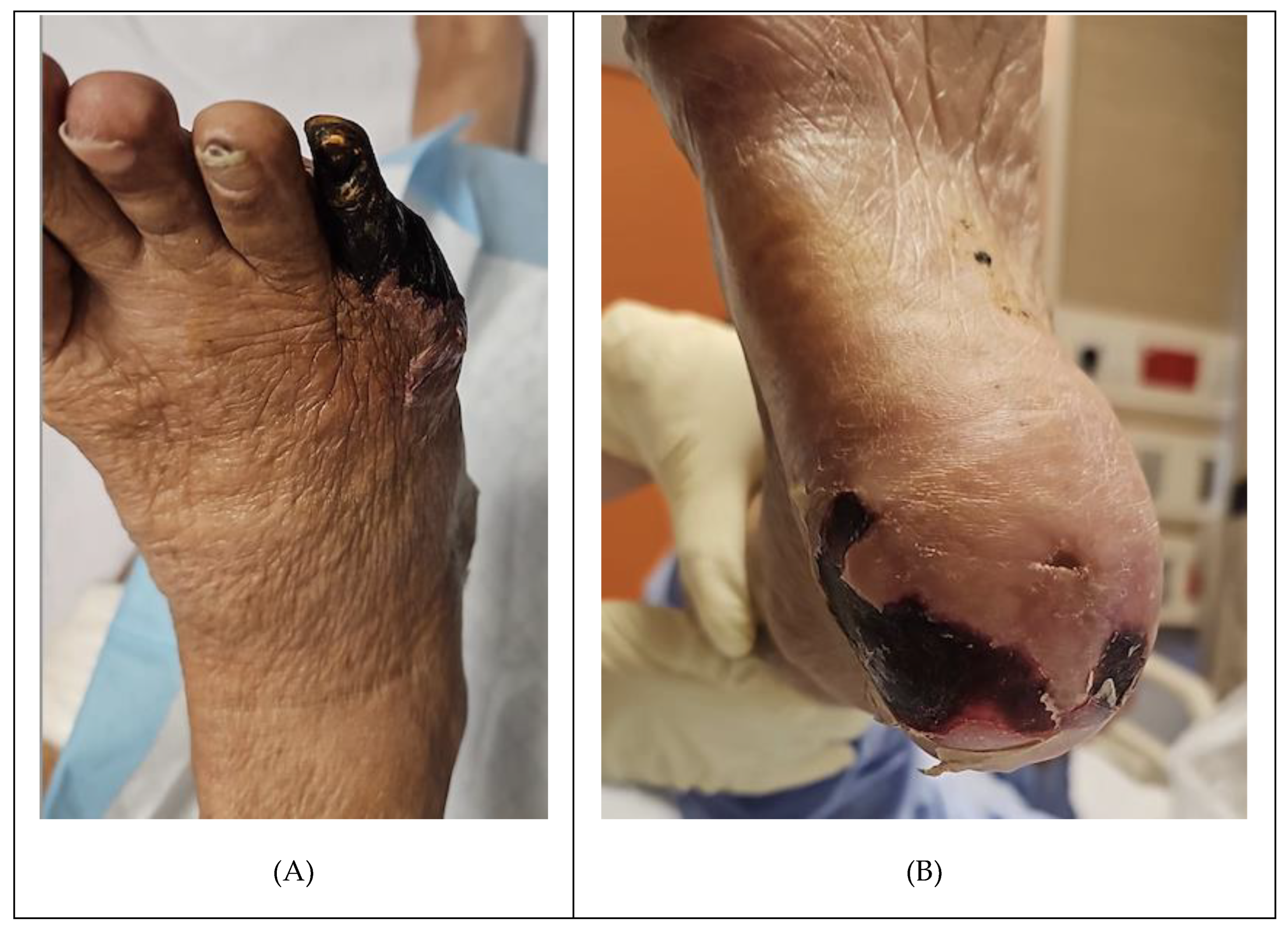 Preprints 147084 g006