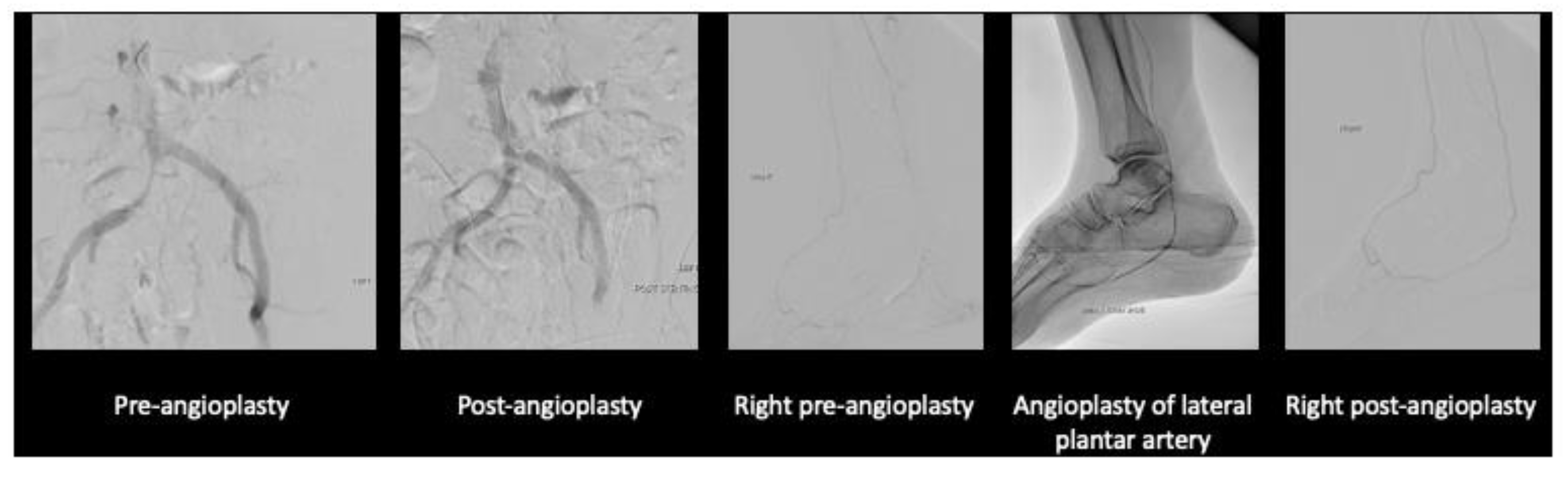 Preprints 147084 g007