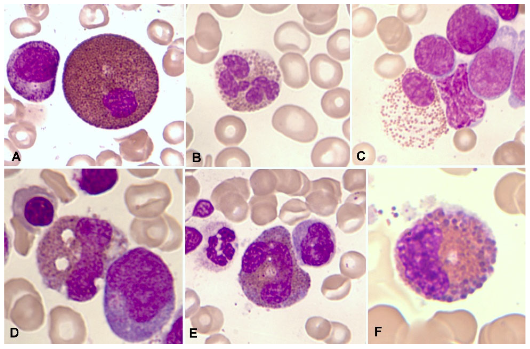 Preprints 92053 g002
