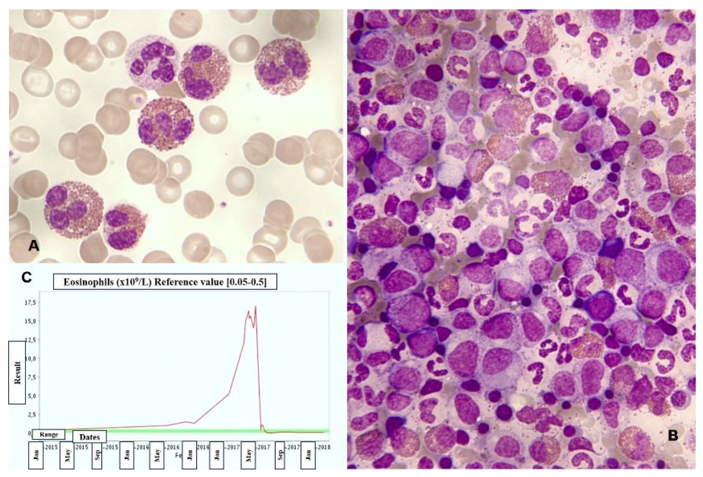 Preprints 92053 g004