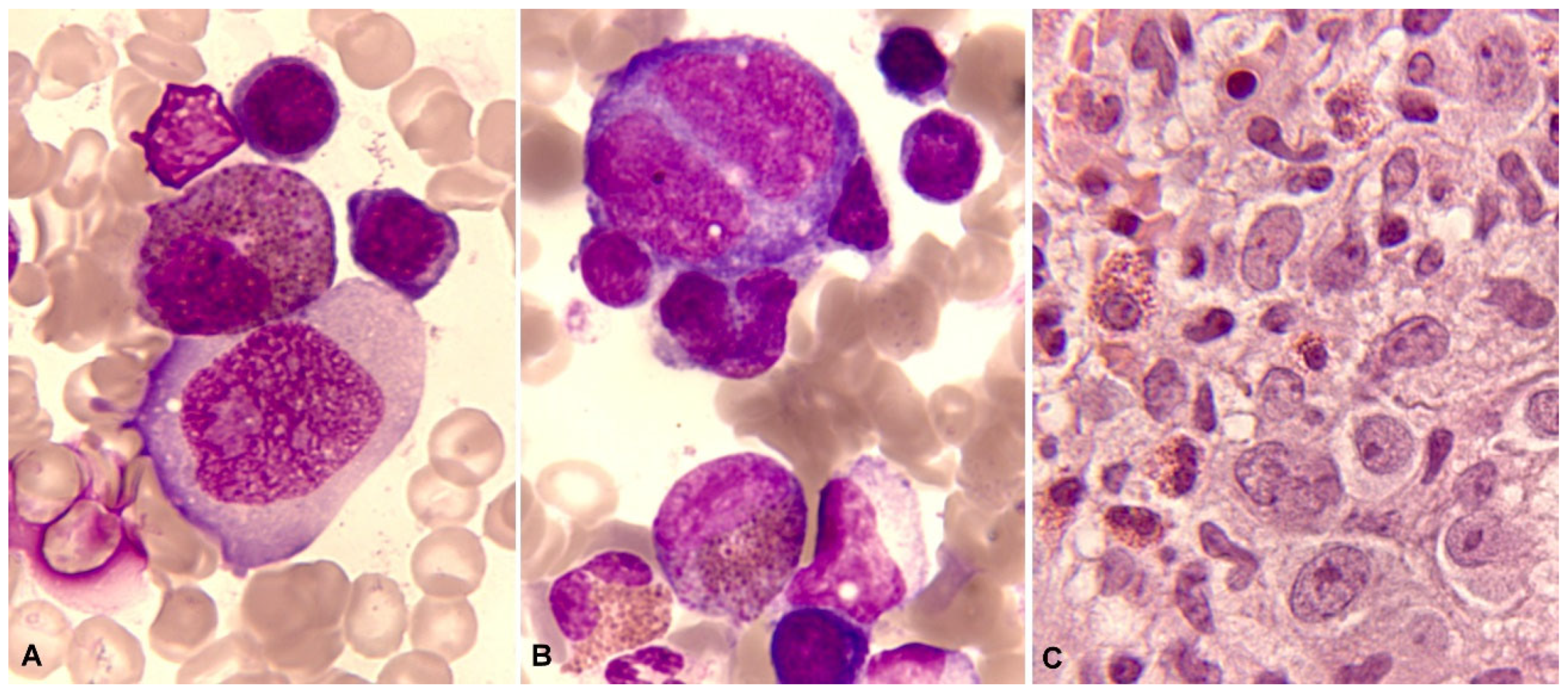 Preprints 92053 g005