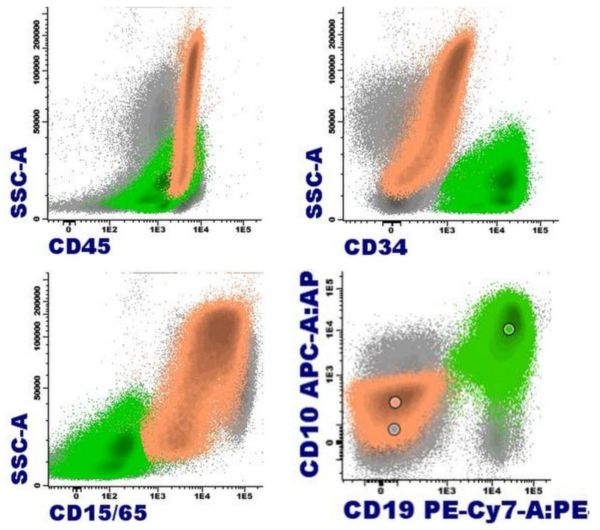 Preprints 92053 g008