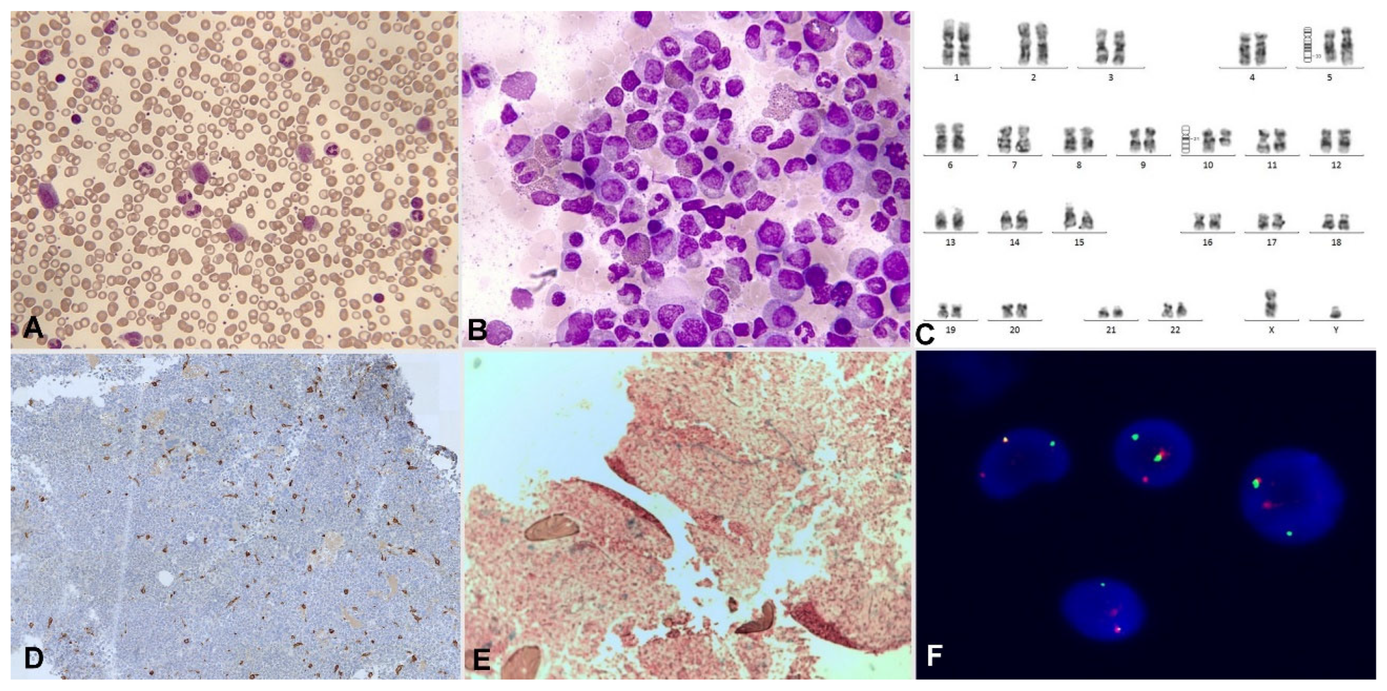 Preprints 92053 g009