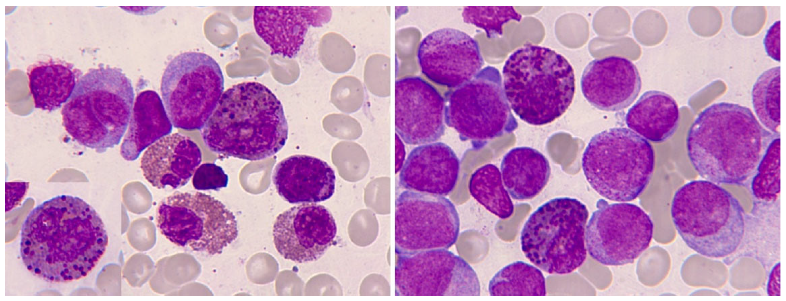 Preprints 92053 g010