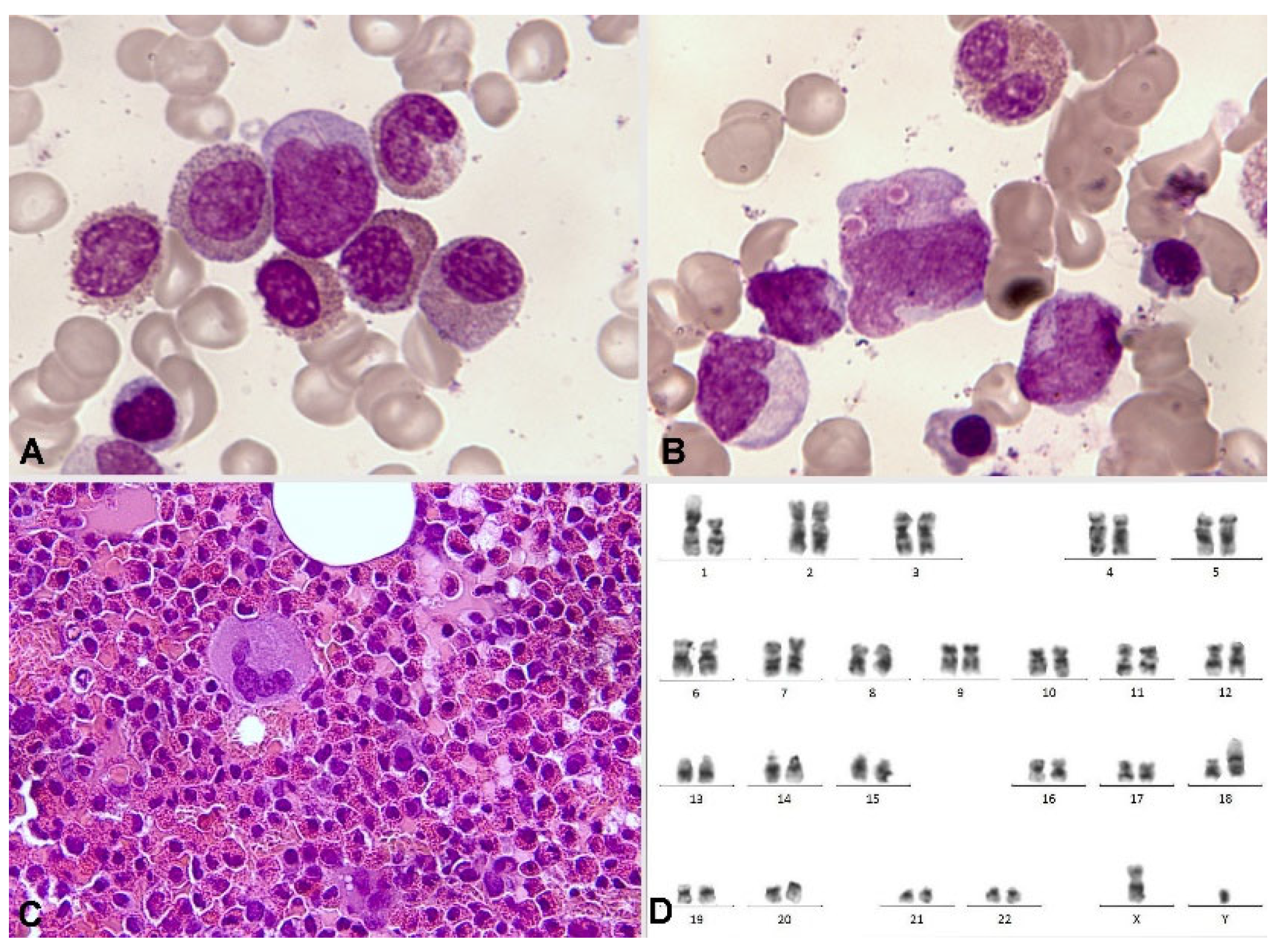 Preprints 92053 g011