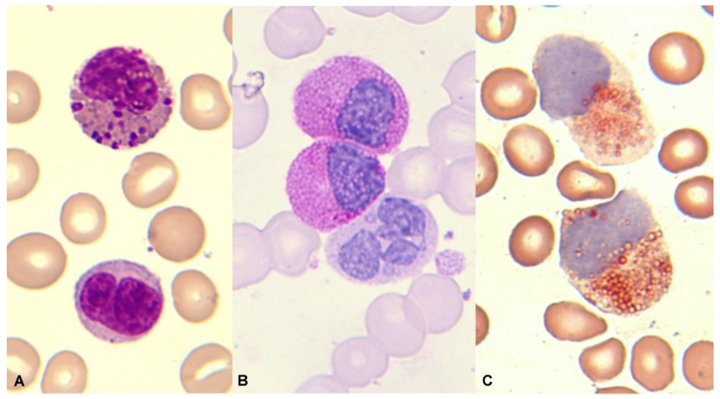 Preprints 92053 g012