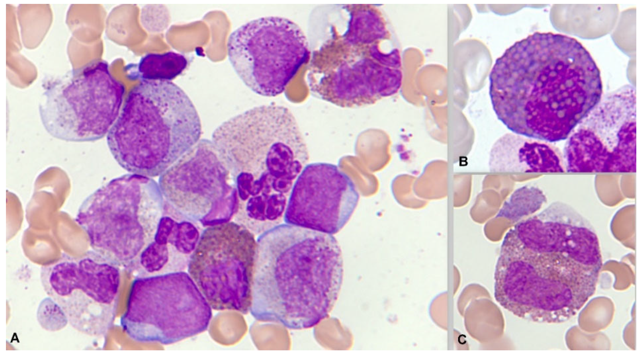 Preprints 92053 g013