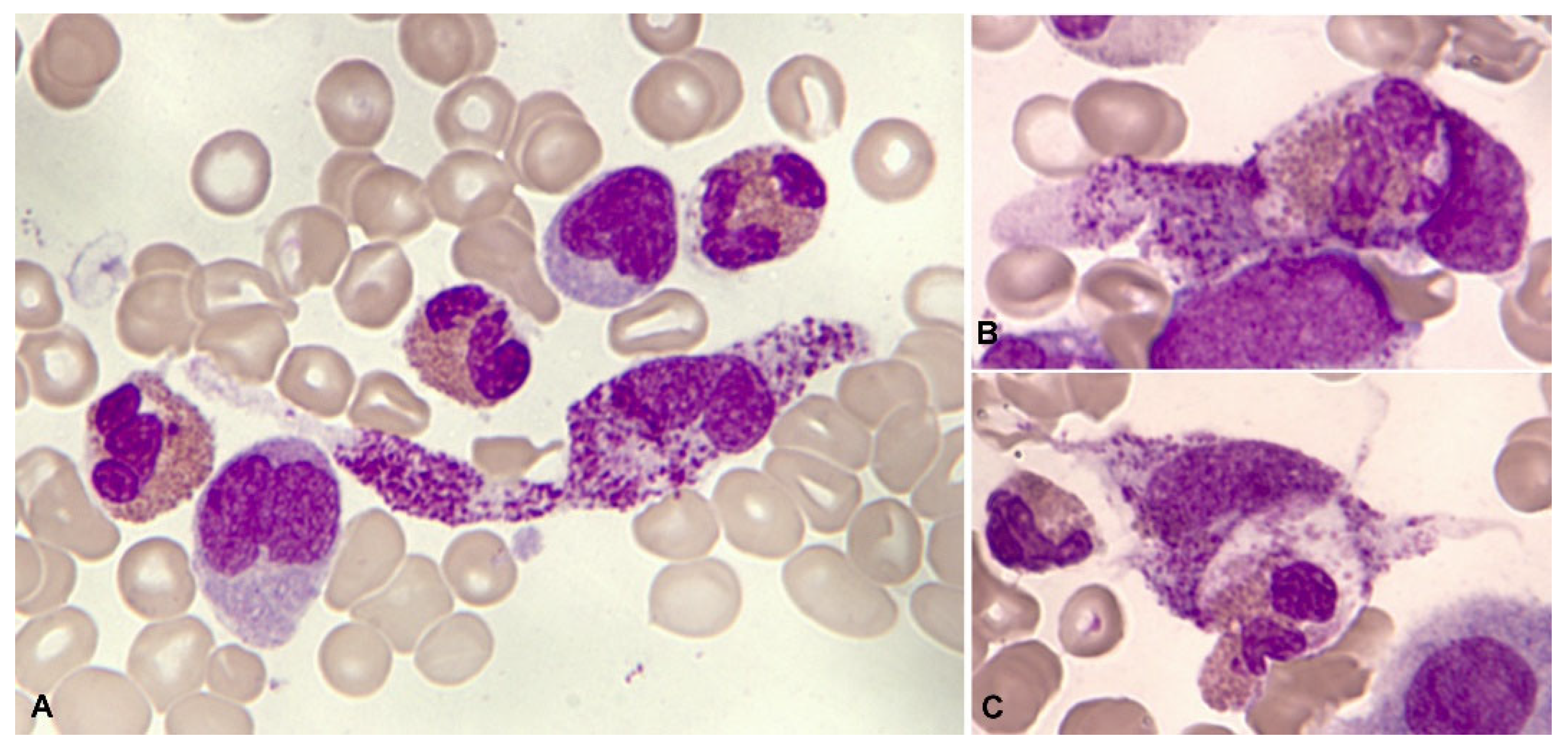 Preprints 92053 g014
