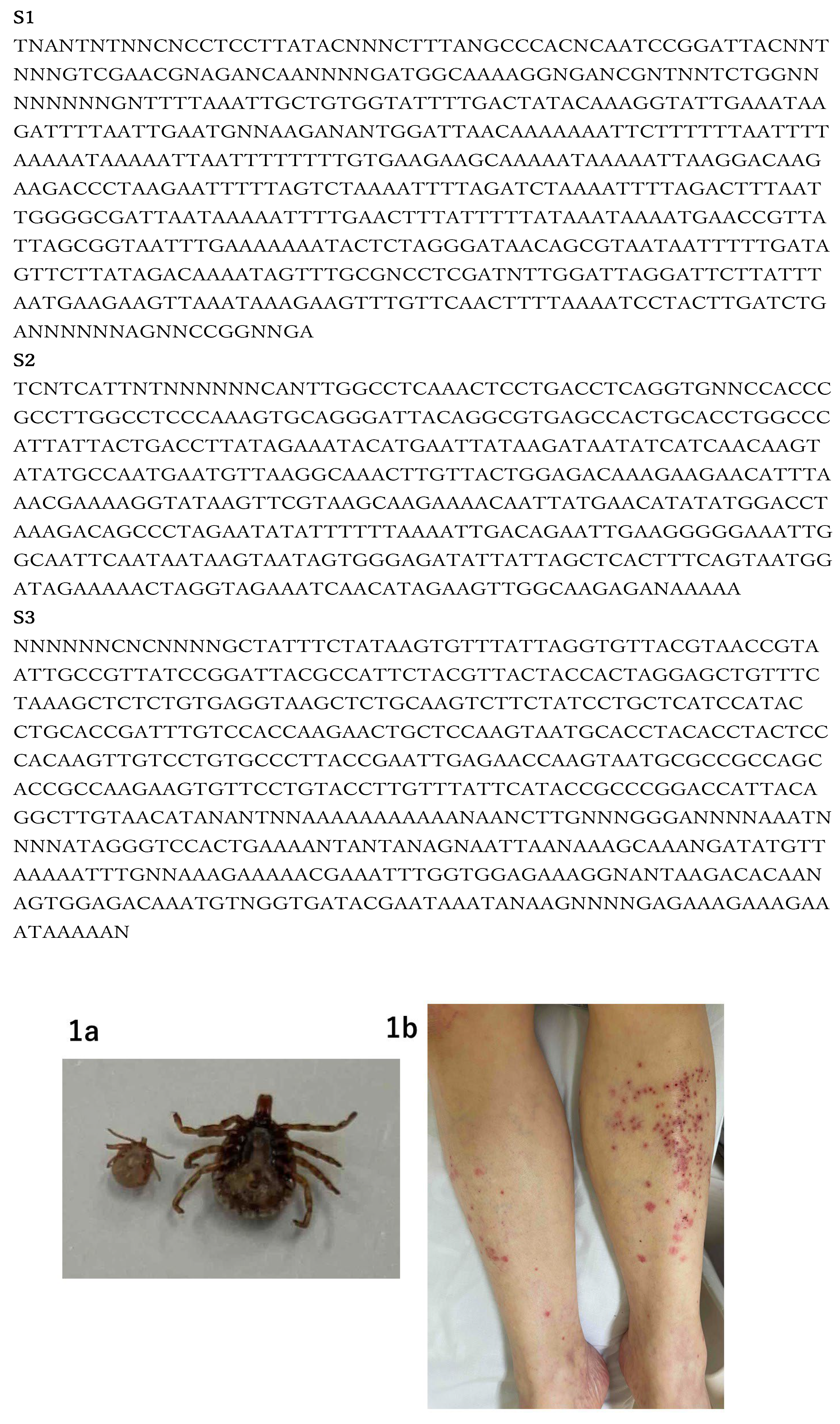 Preprints 188928 g001