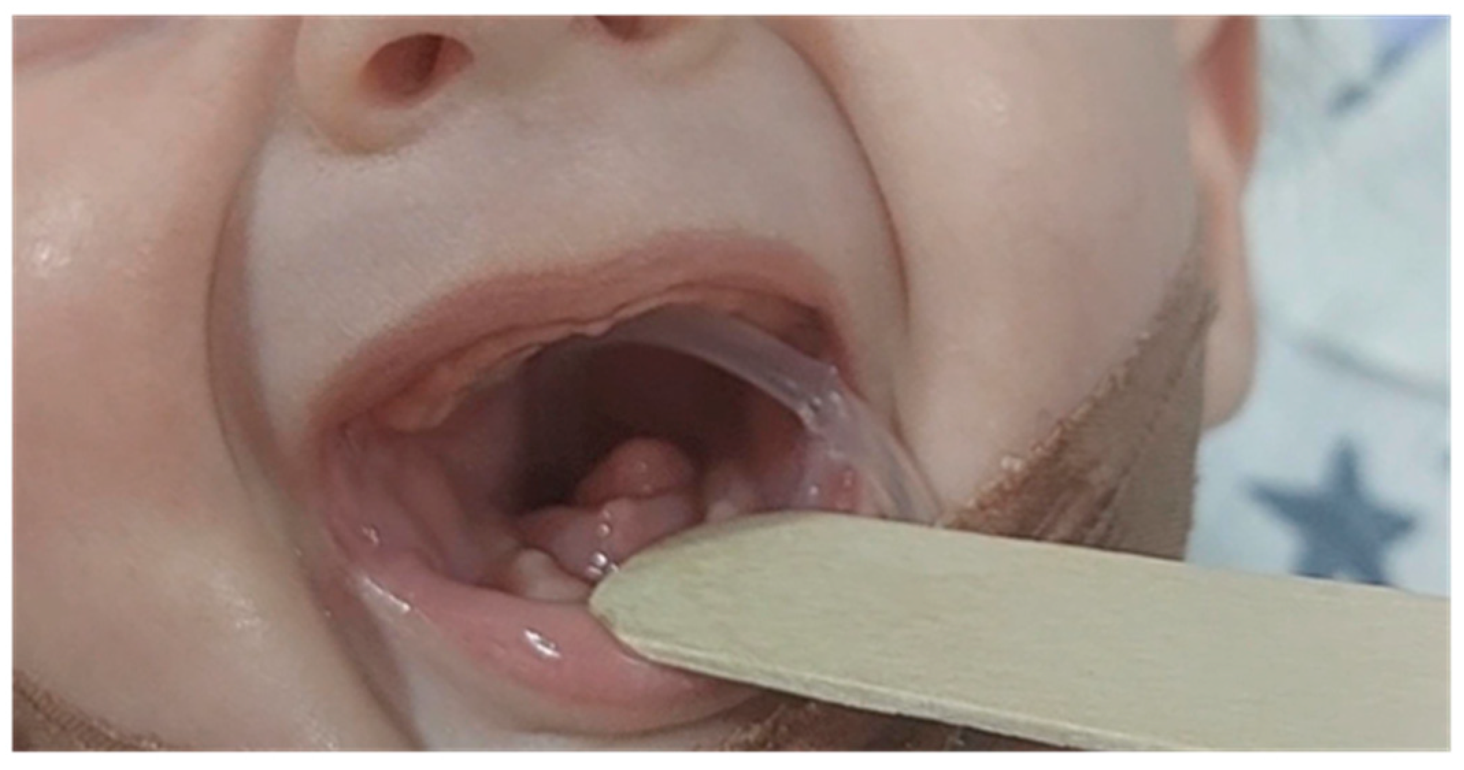 Preprints 153271 g001