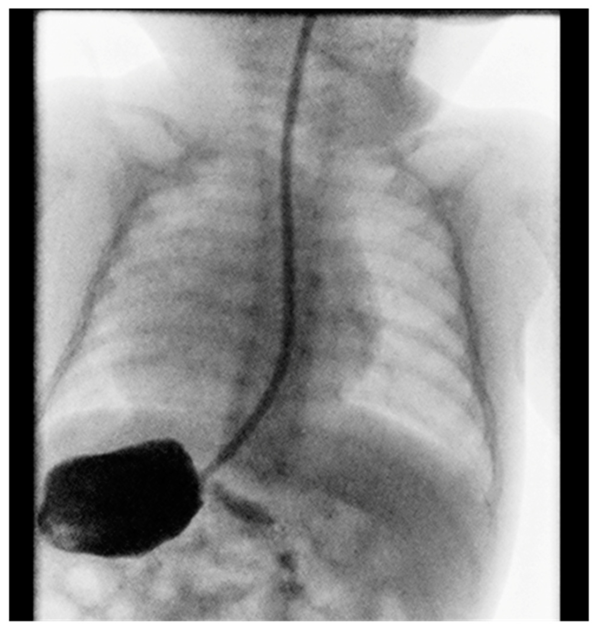 Preprints 153271 g002