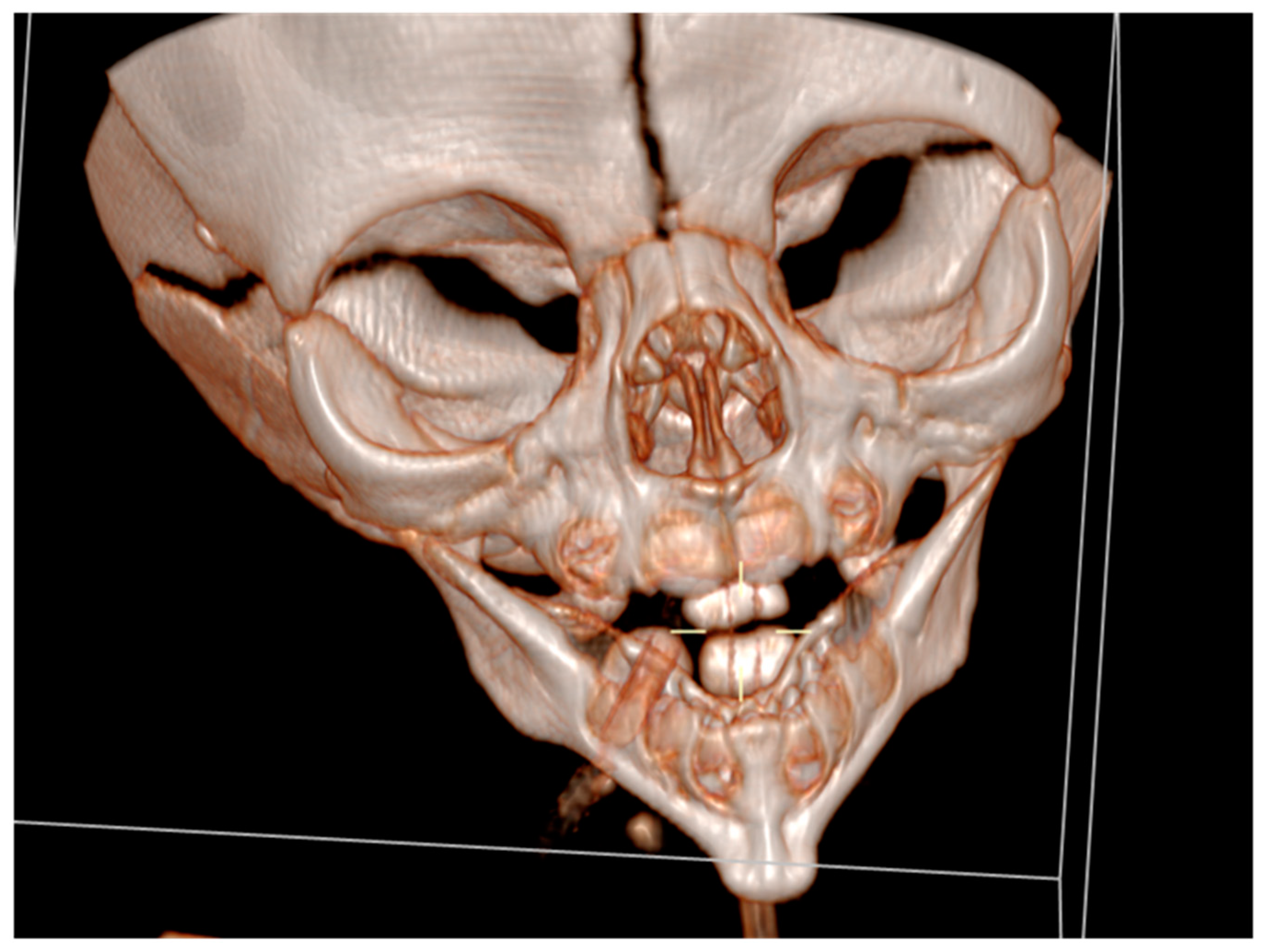 Preprints 153271 g003