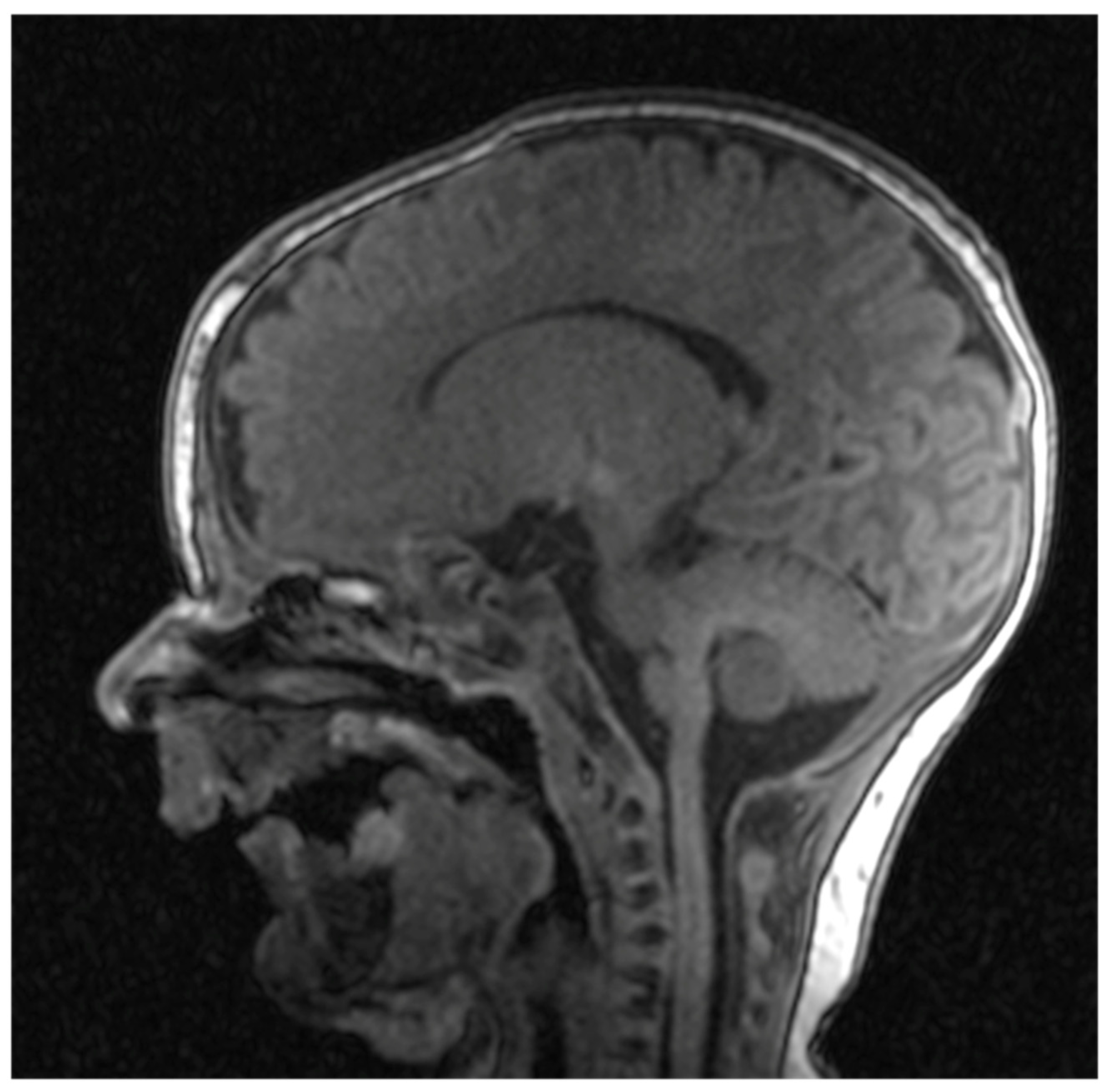 Preprints 153271 g005