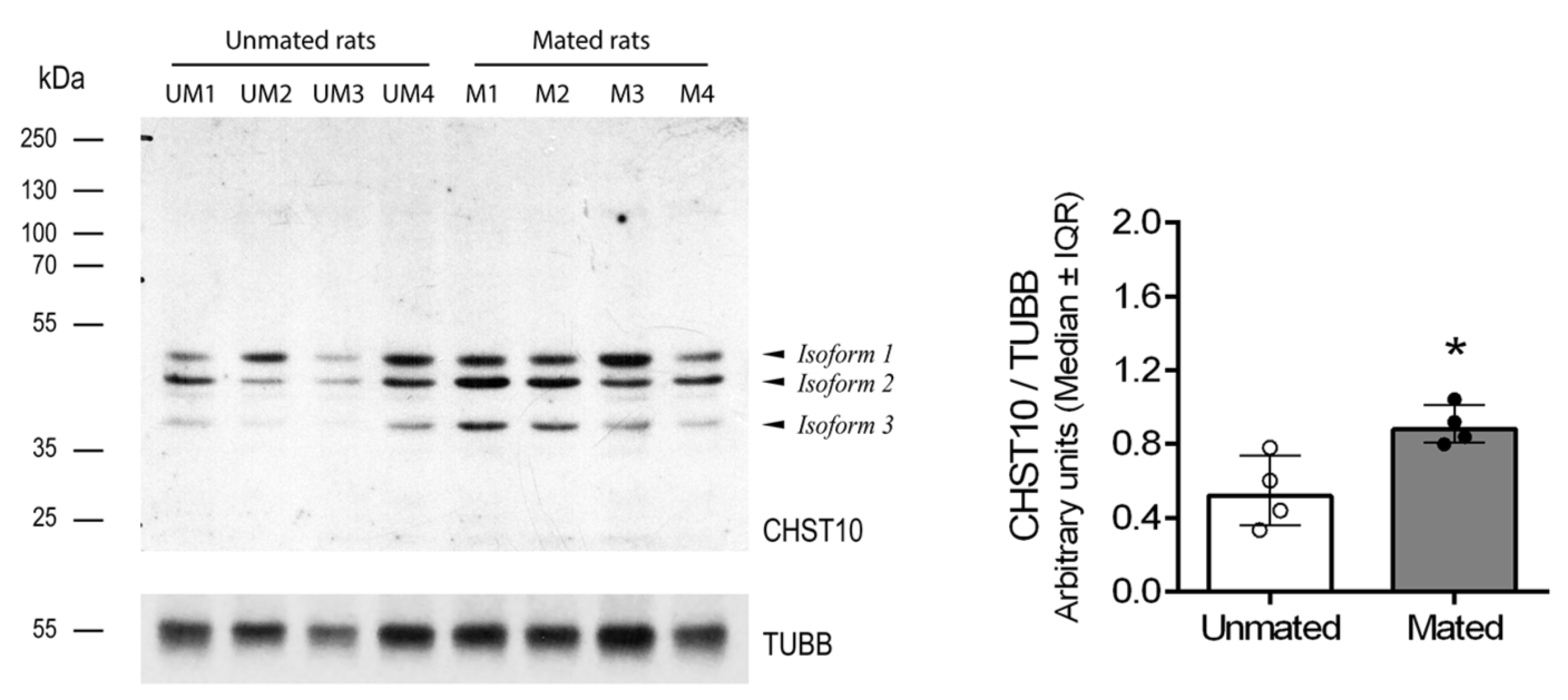 Preprints 146842 g001