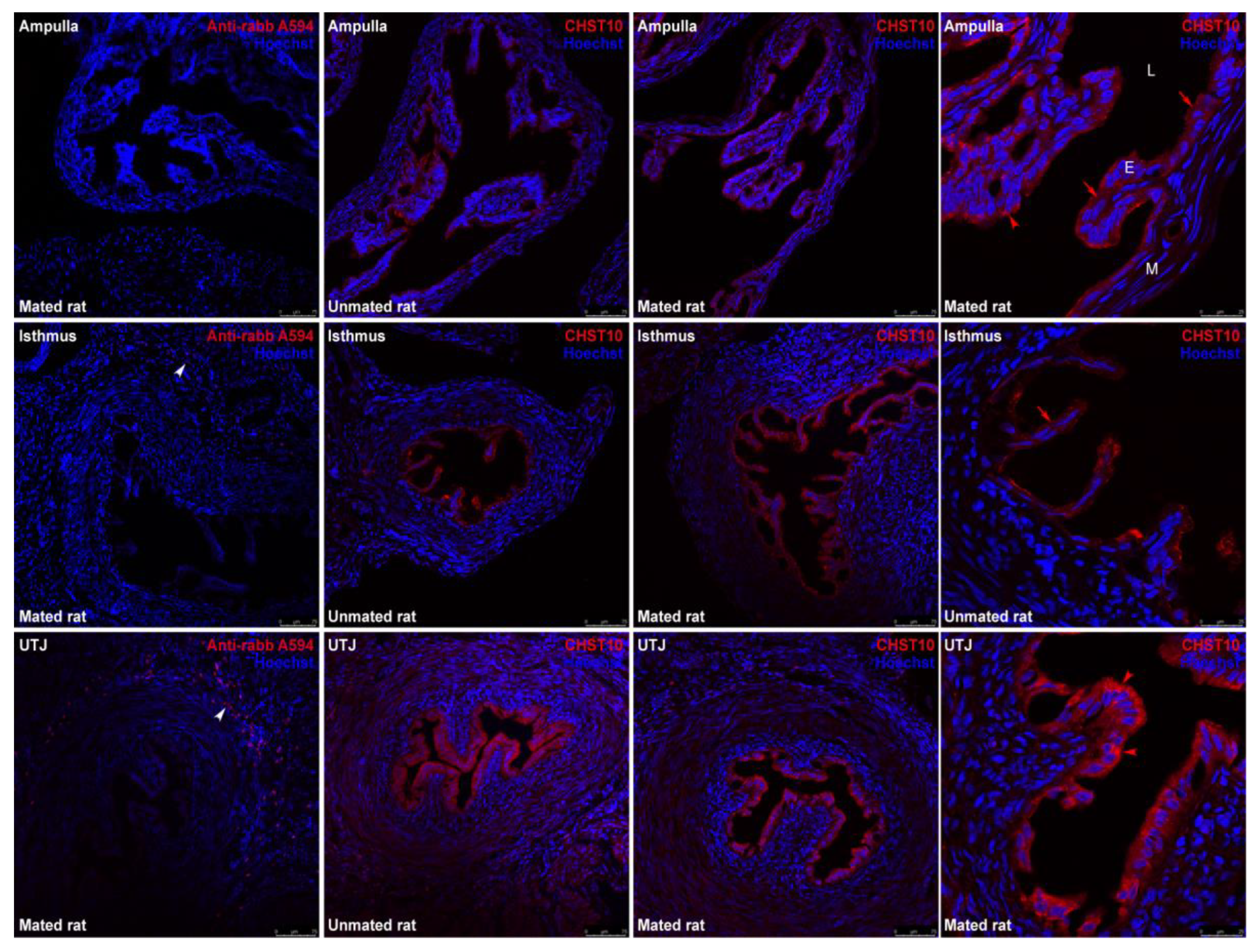 Preprints 146842 g002