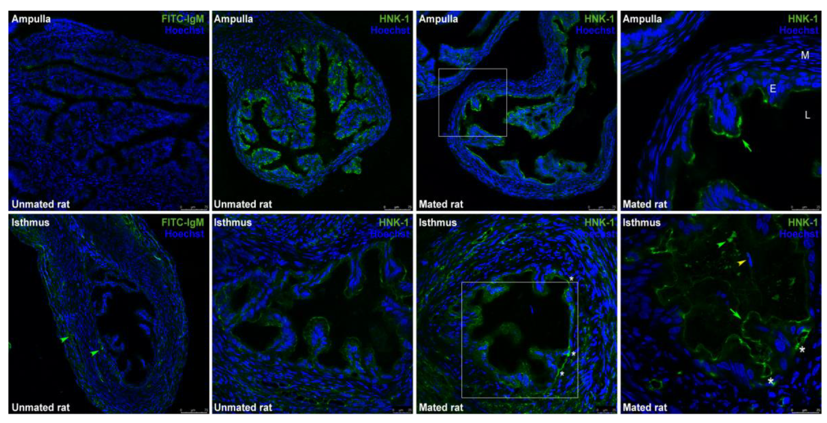 Preprints 146842 g004