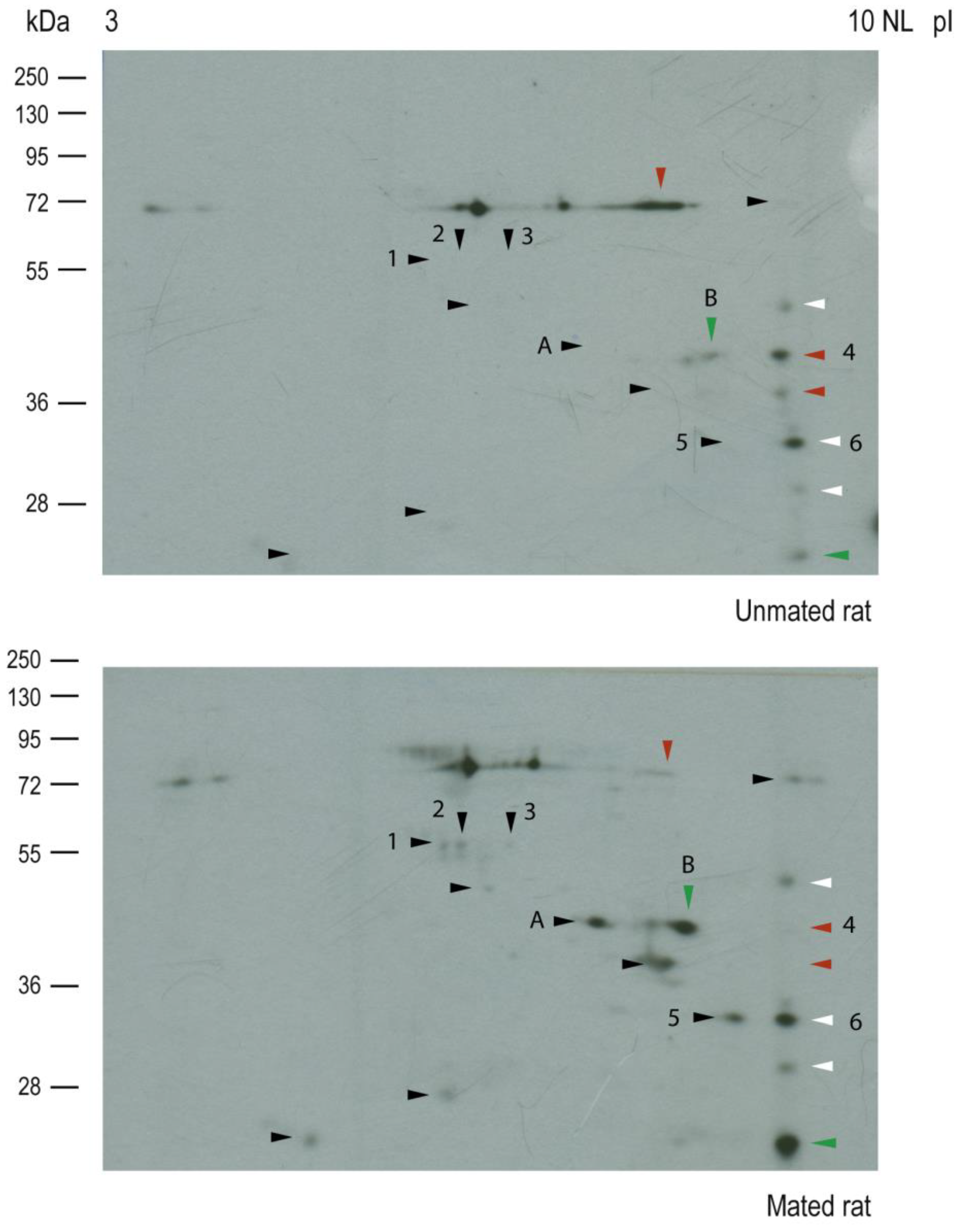 Preprints 146842 g006