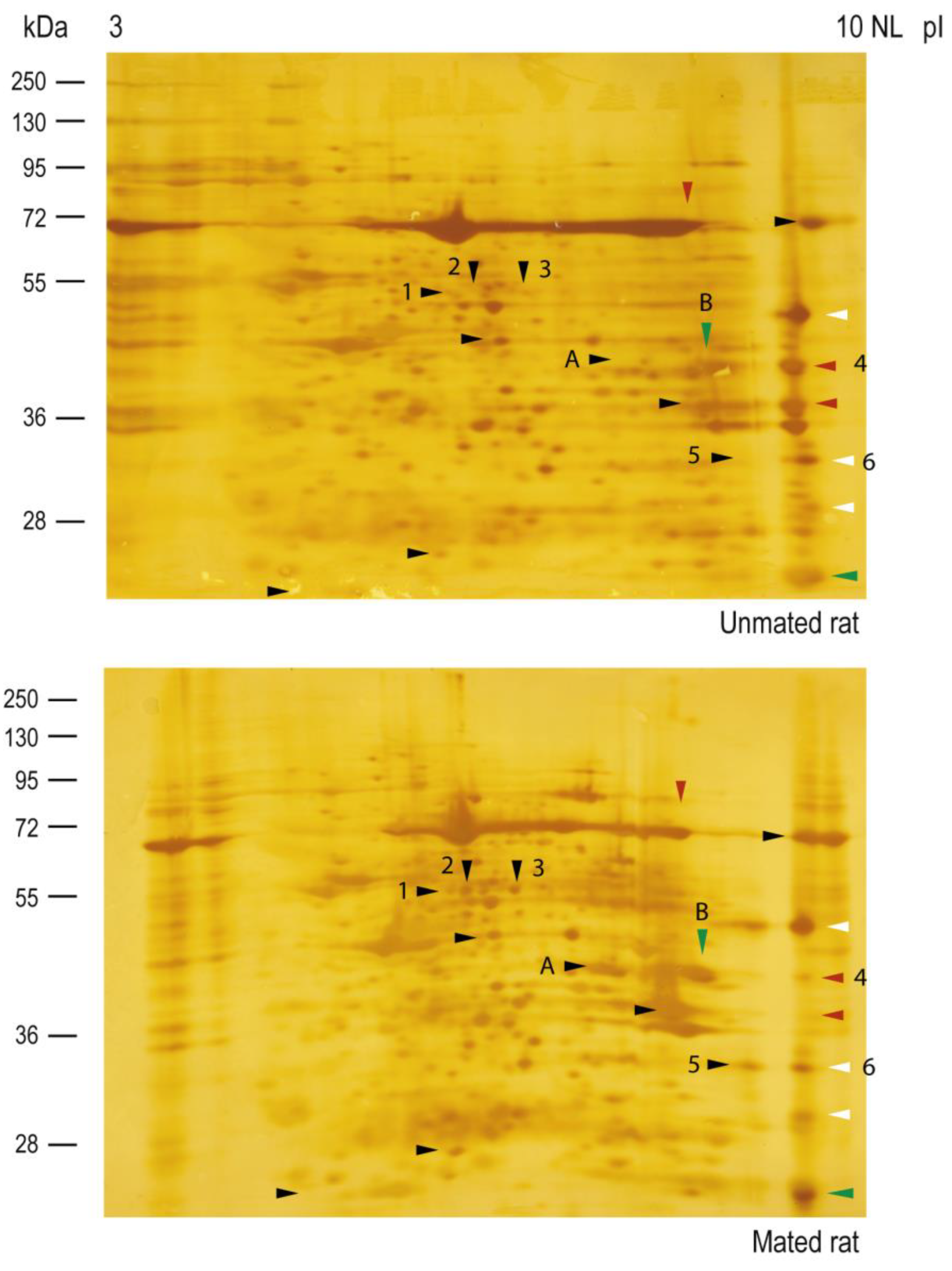 Preprints 146842 g007
