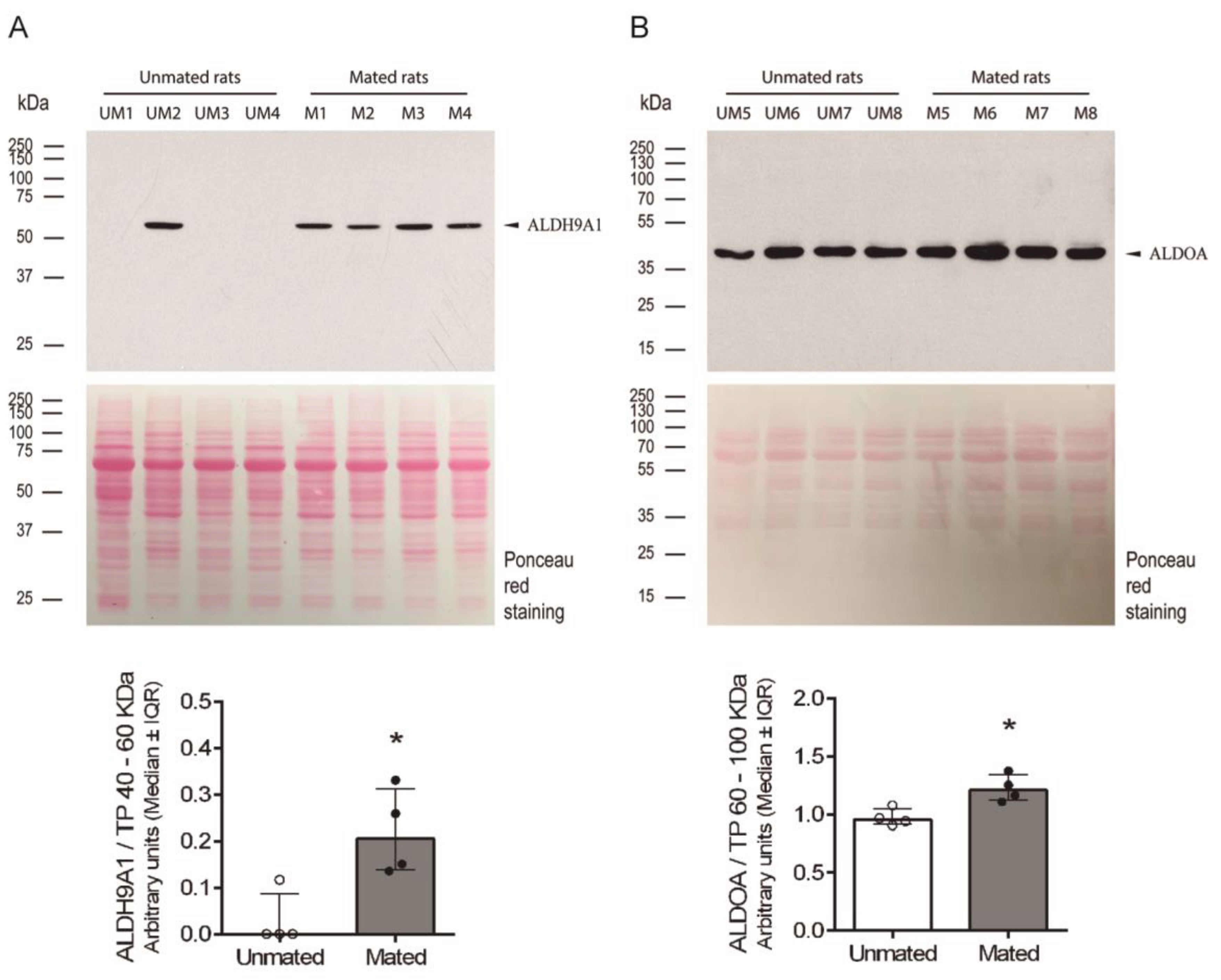 Preprints 146842 g008