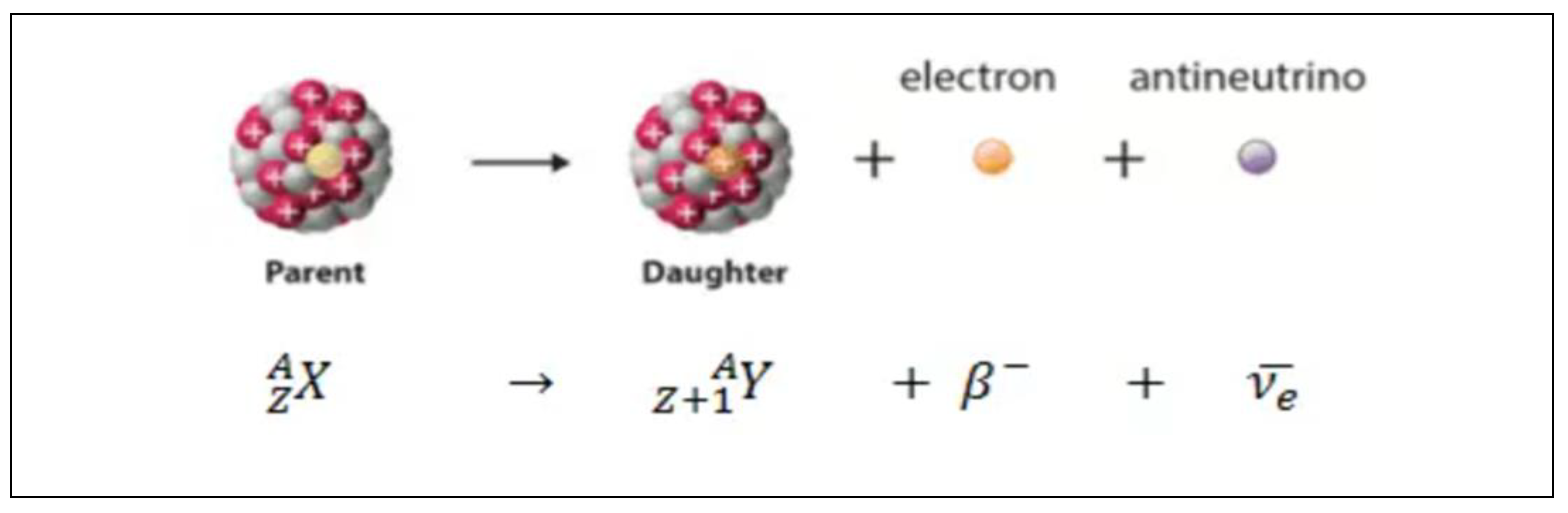 Preprints 138653 g086