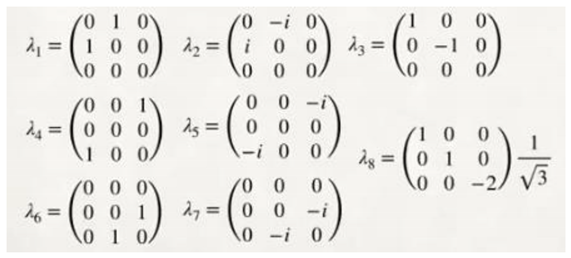 Preprints 138653 i110