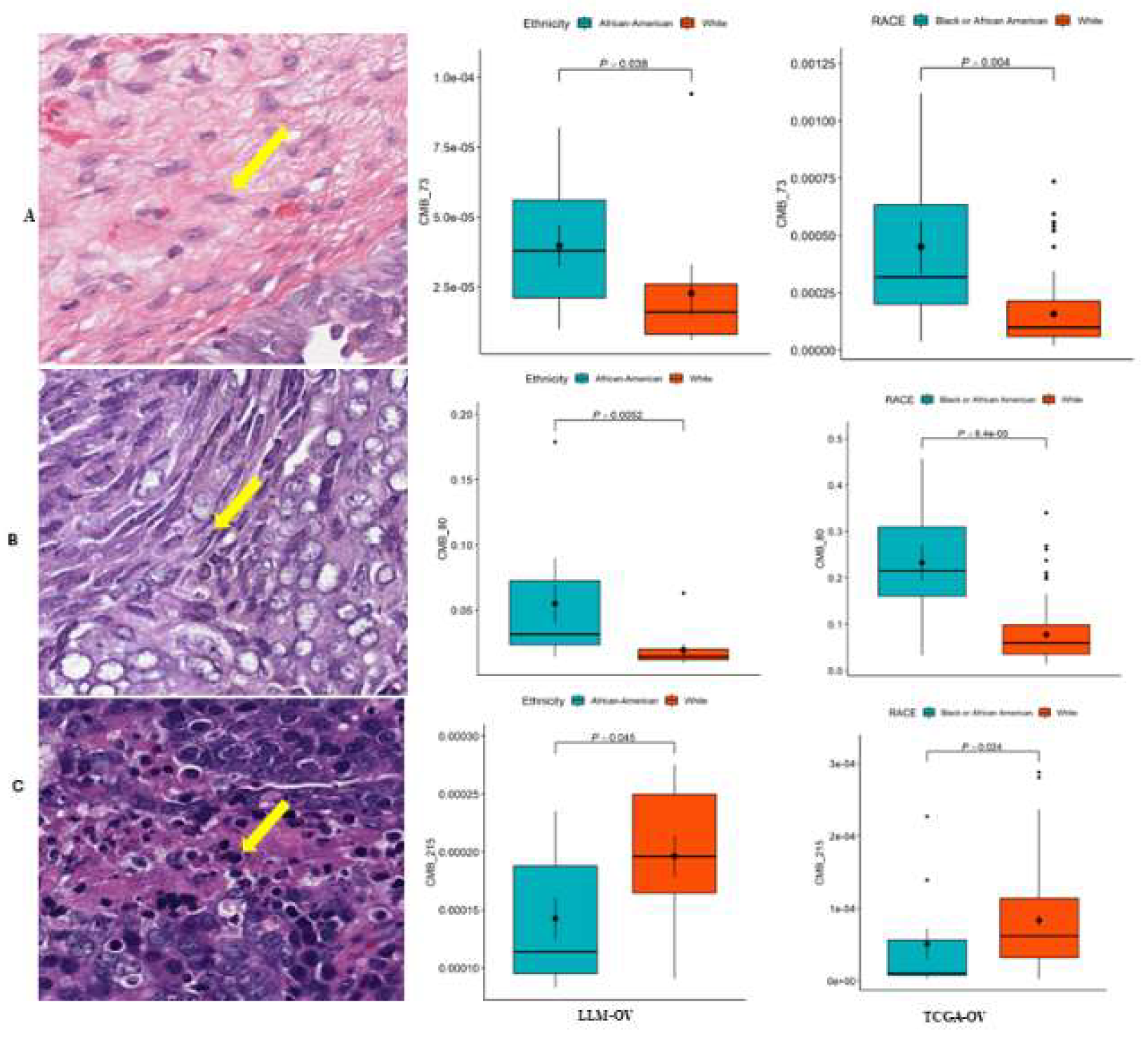 Preprints 149963 g002