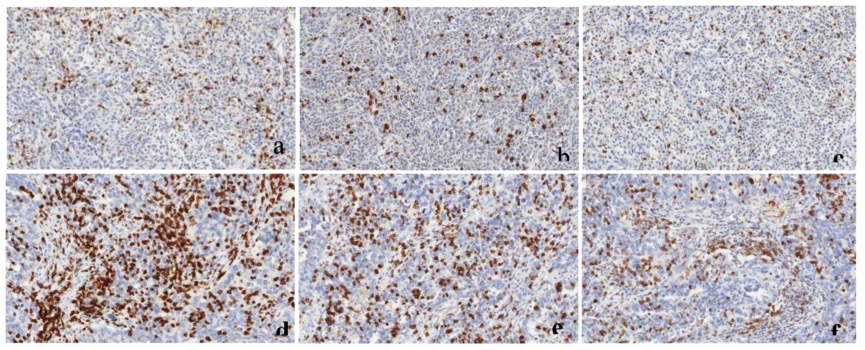 Preprints 149963 g006