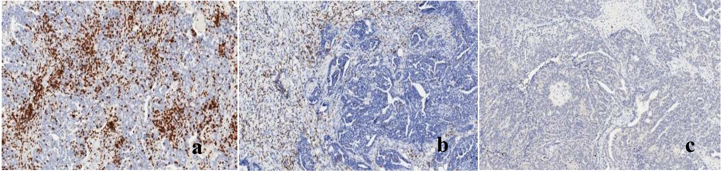 Preprints 149963 g007