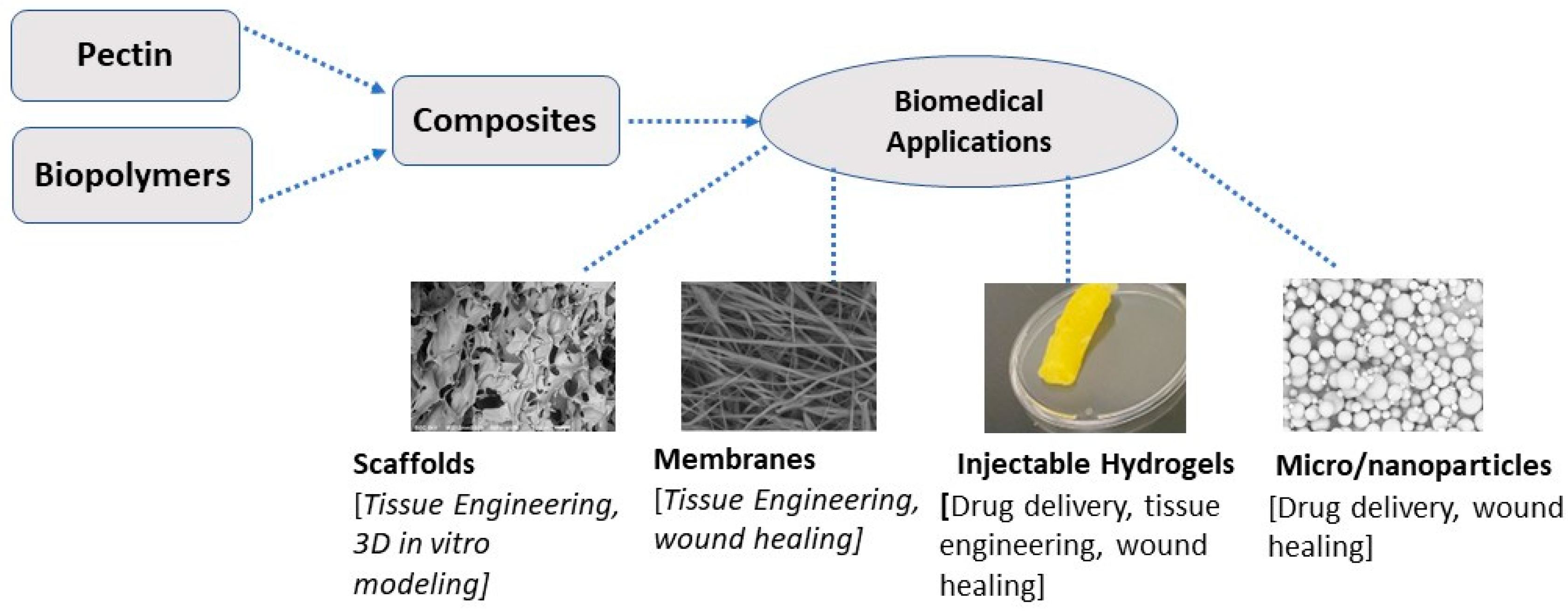 Preprints 88364 g001