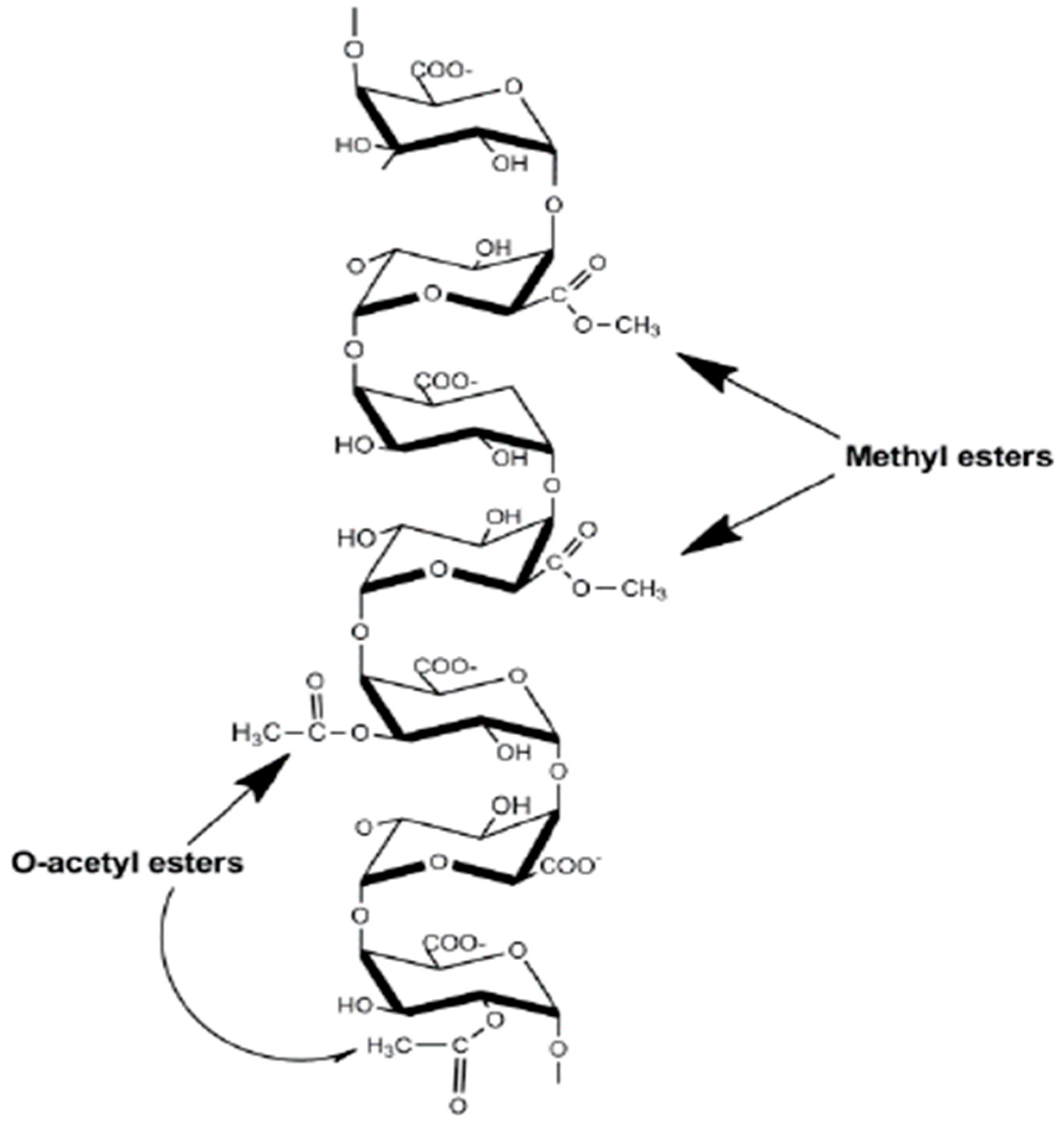 Preprints 88364 g002