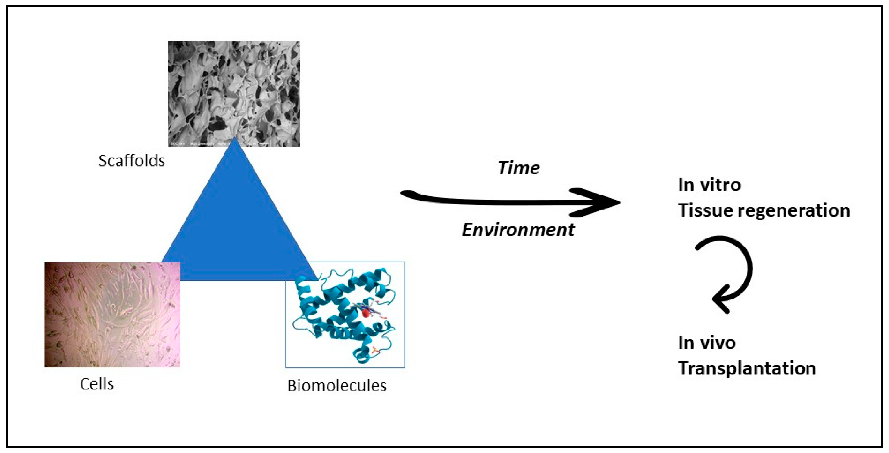 Preprints 88364 g003