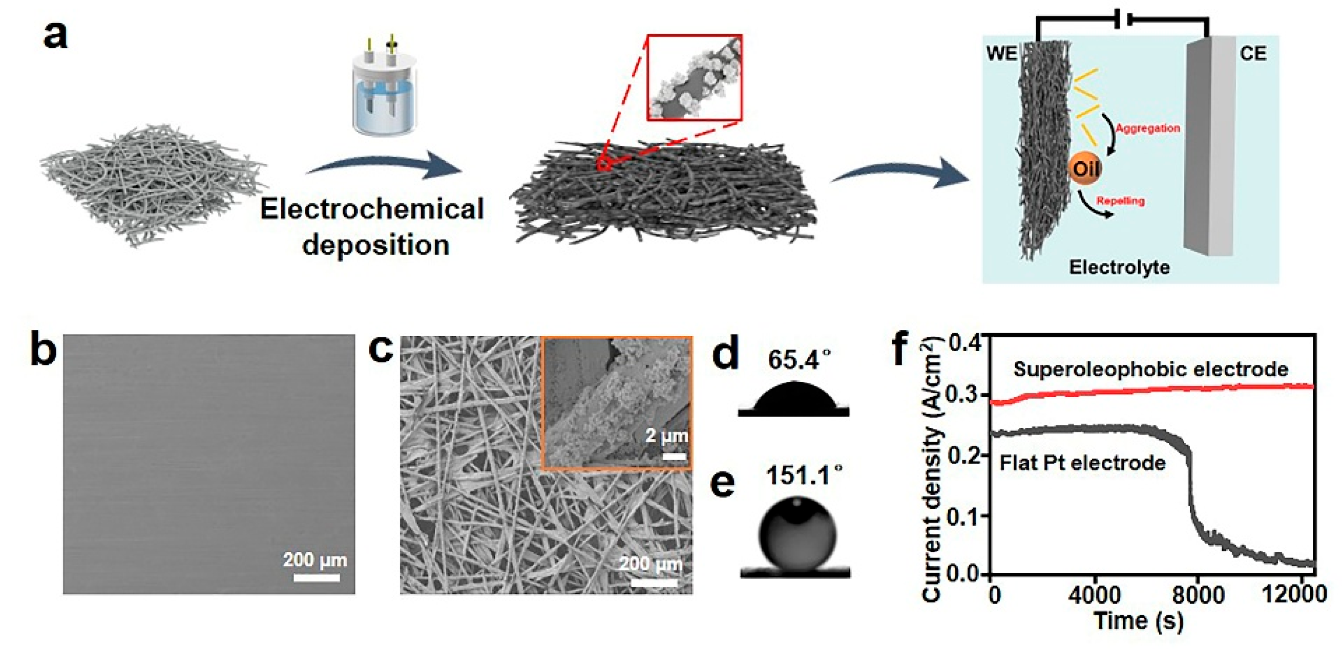 Preprints 197812 g001