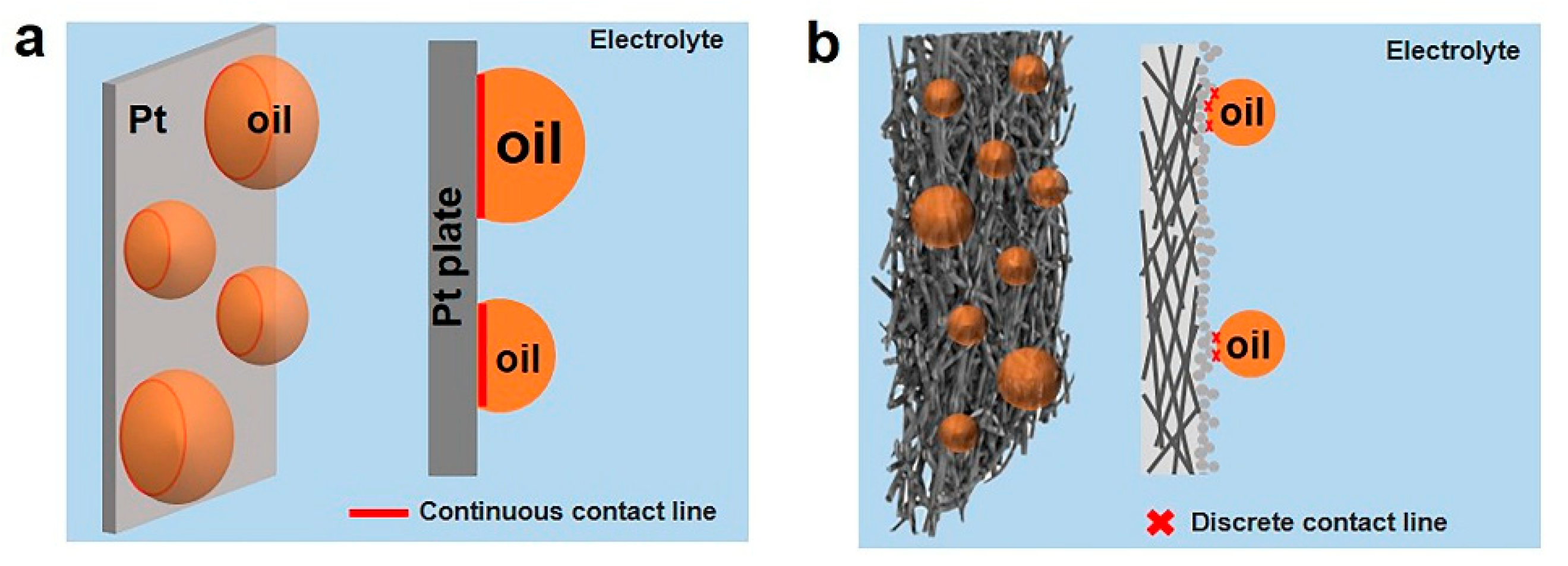 Preprints 197812 g005