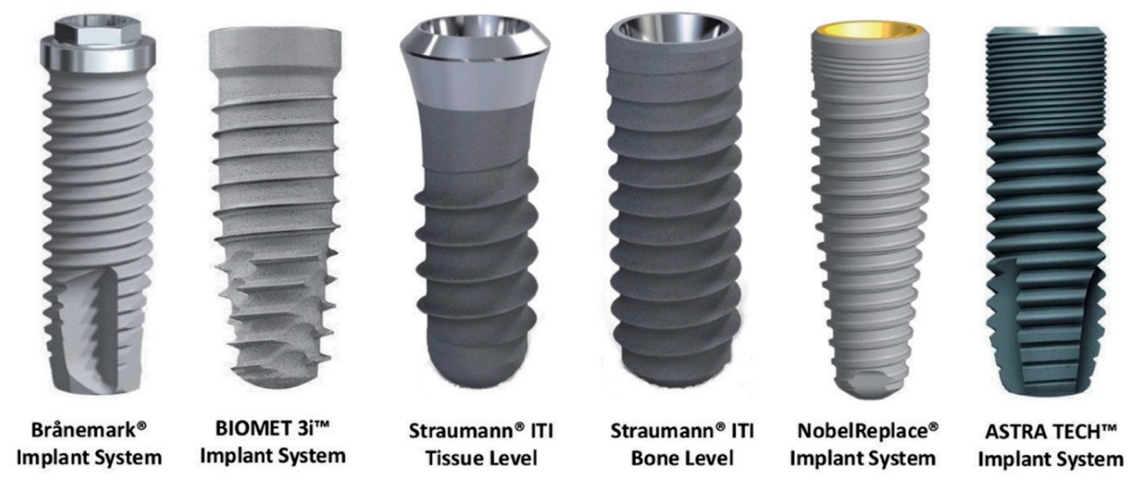 Preprints 146033 g001
