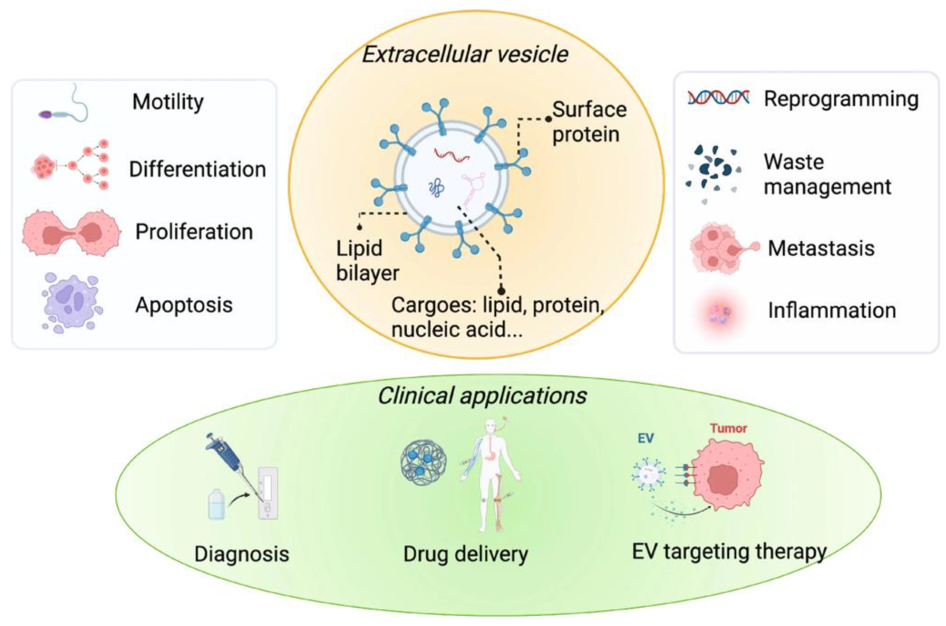 Preprints 166008 g001